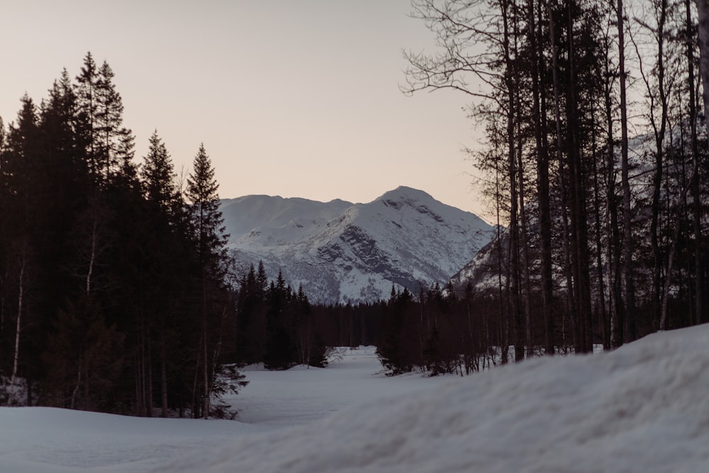 a snow covered road with a mountain in the background