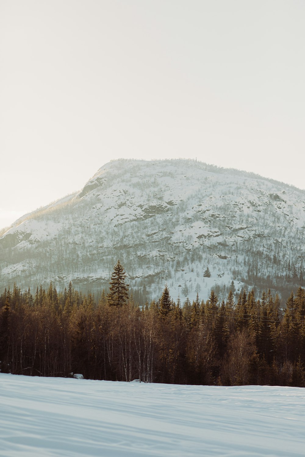 a snow covered mountain with trees in the foreground