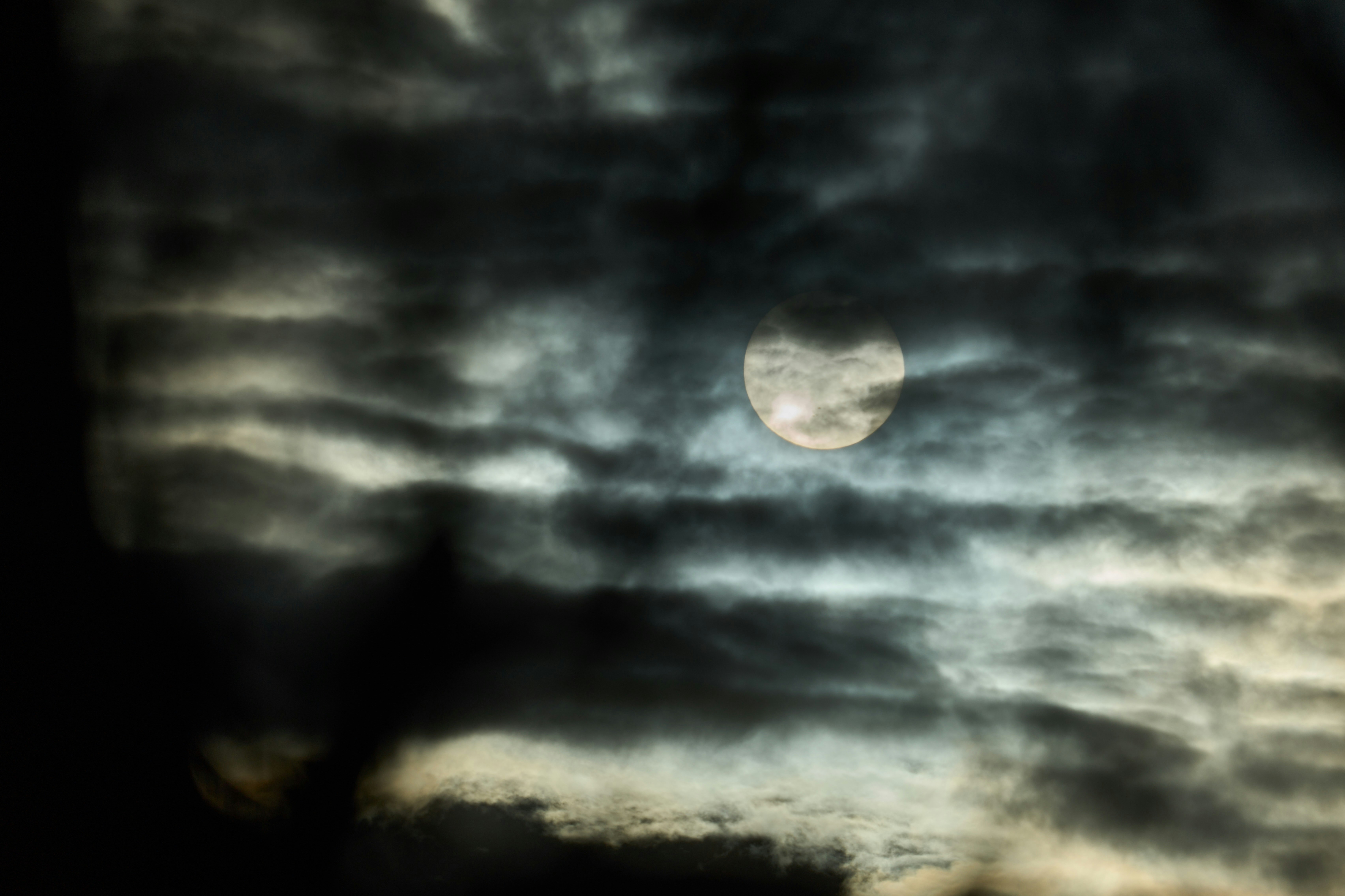 Photo by wolfgang_hasselmann