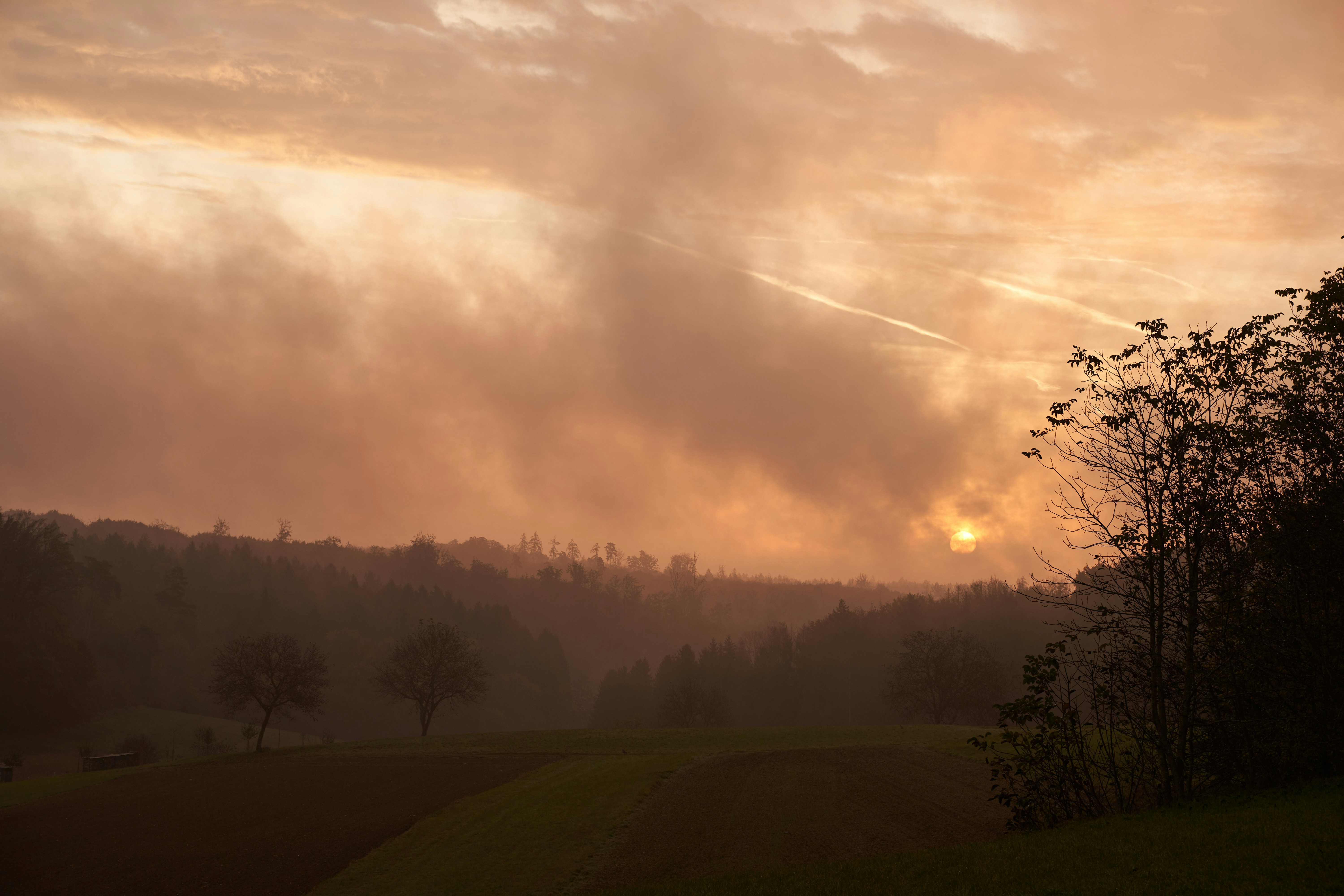 Steam Makes A Big Change To How Review Scores Are Calculated - Kotaku