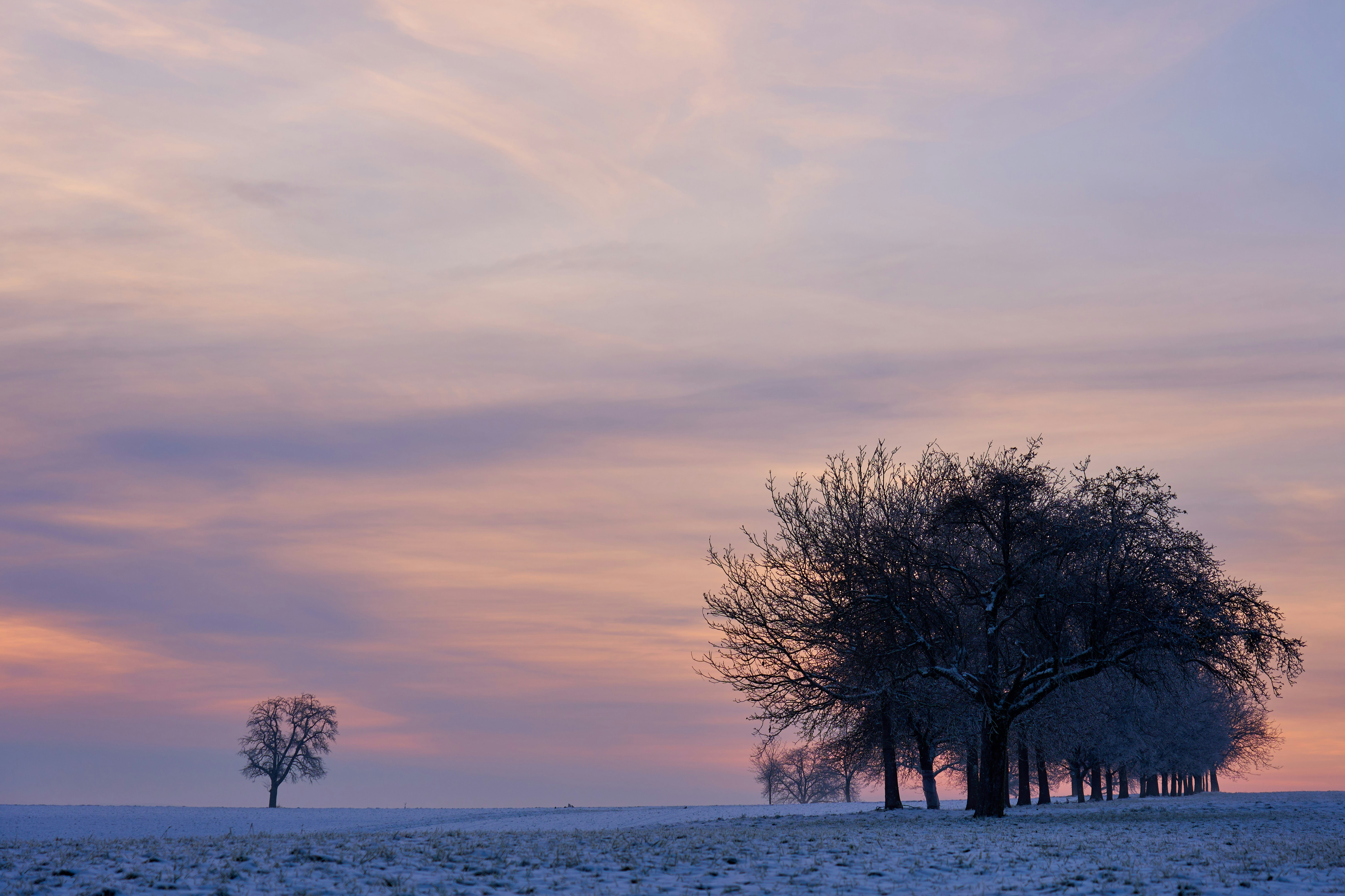 Photo by wolfgang_hasselmann