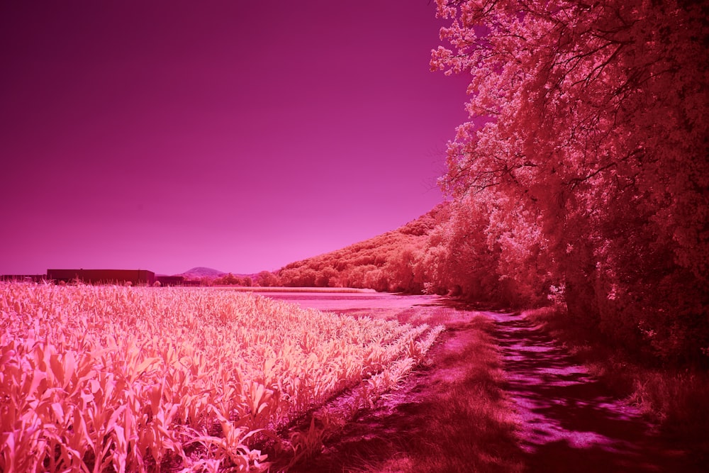 an infrared image of a field with a train in the distance