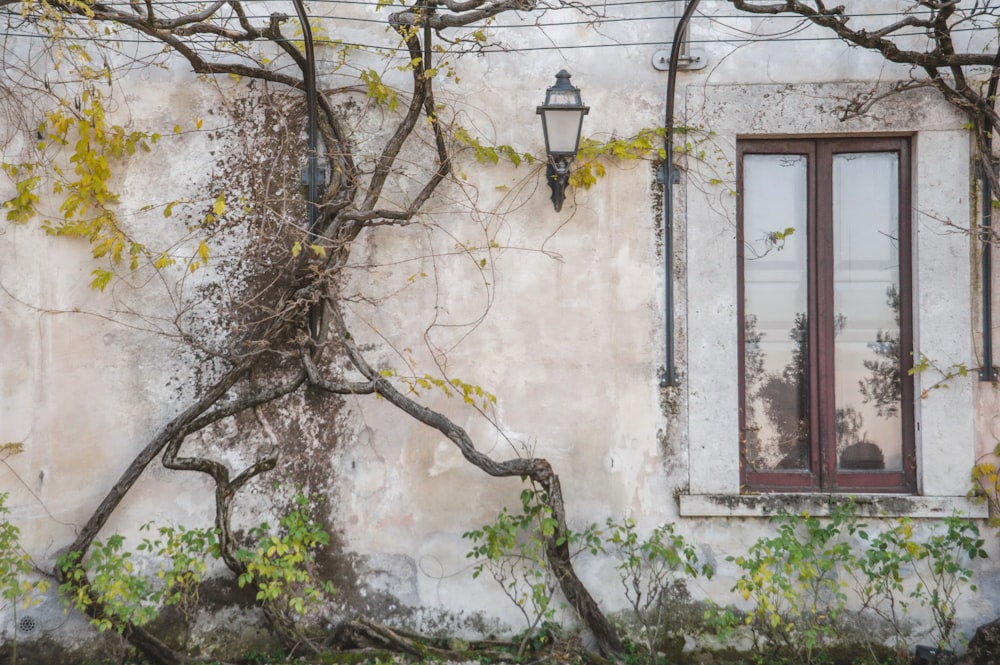 an old building with vines growing on it