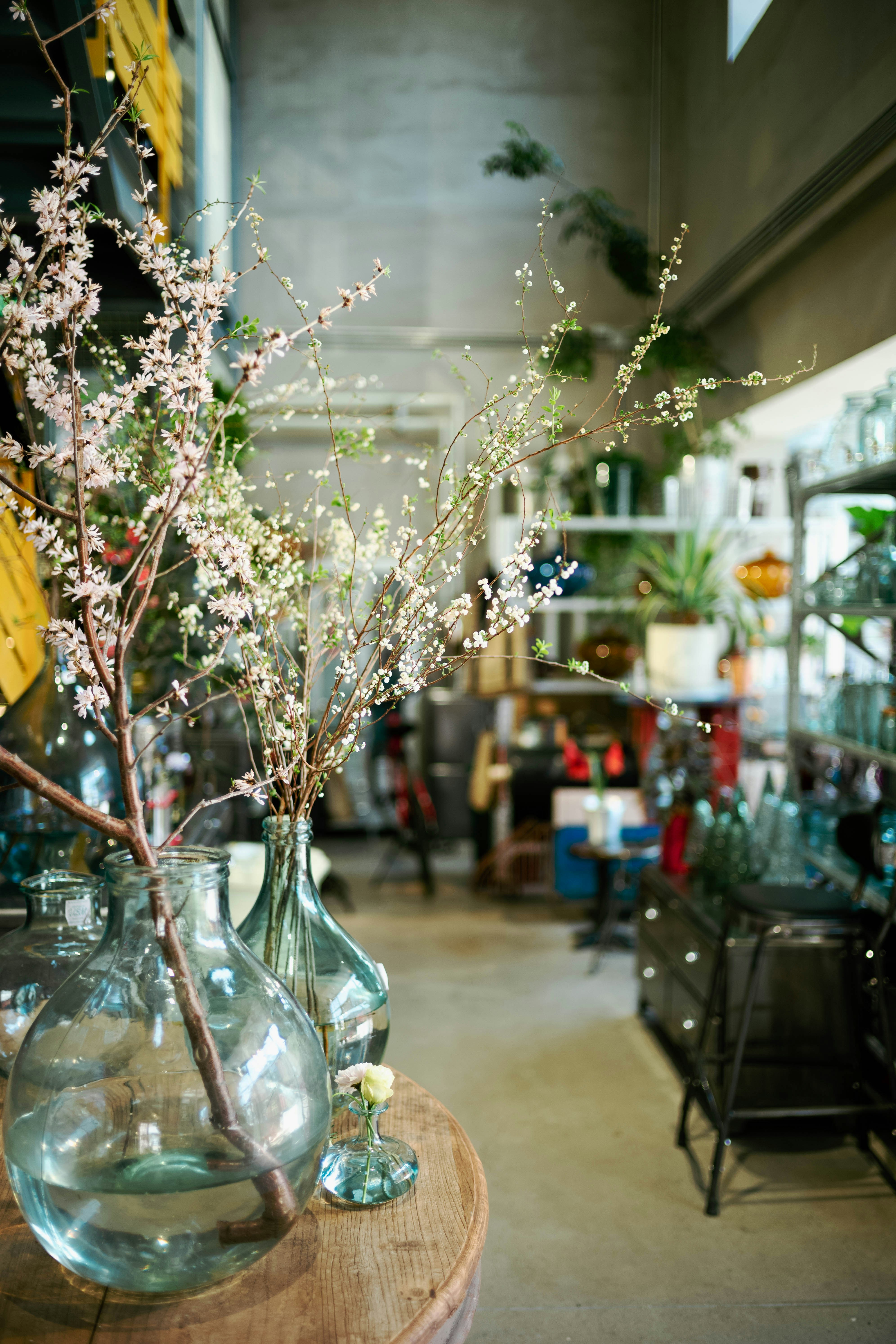 Photo by tommaomaoer