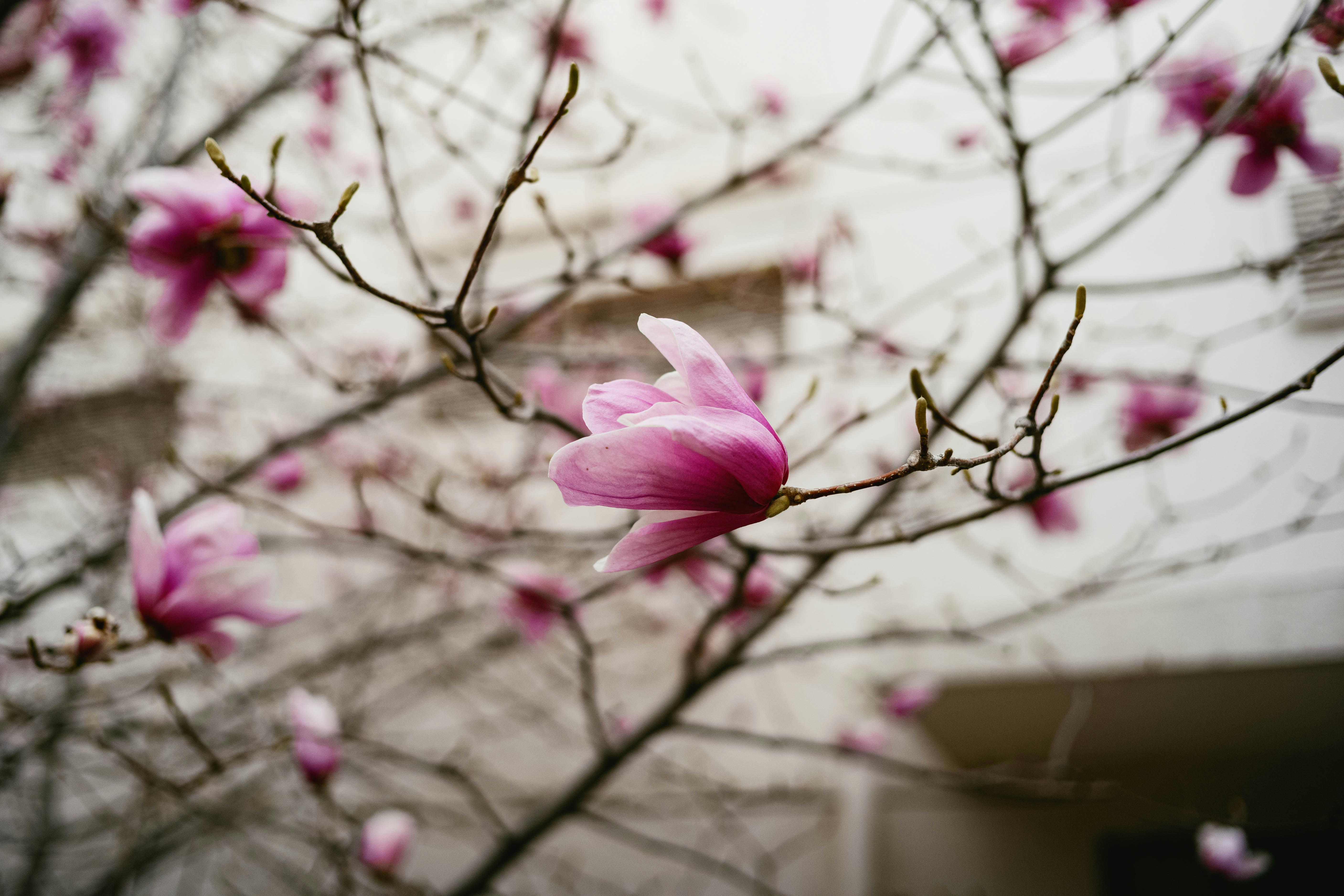 Photo by tommaomaoer