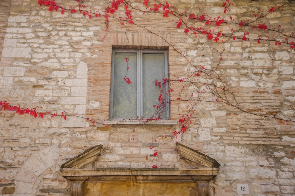 a building with a window and red vines on it