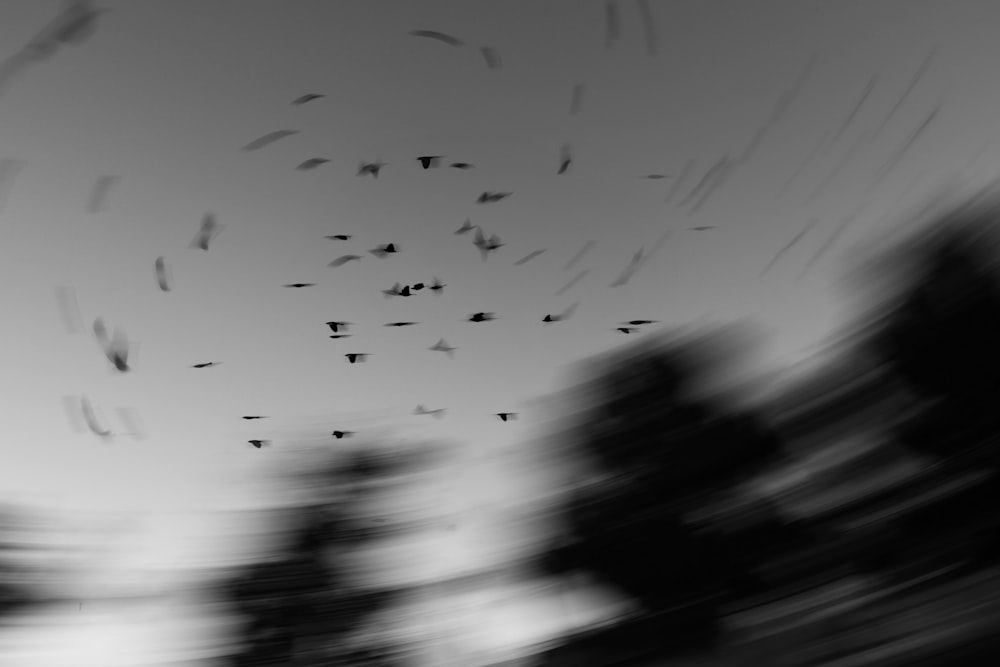 a flock of birds flying through a cloudy sky