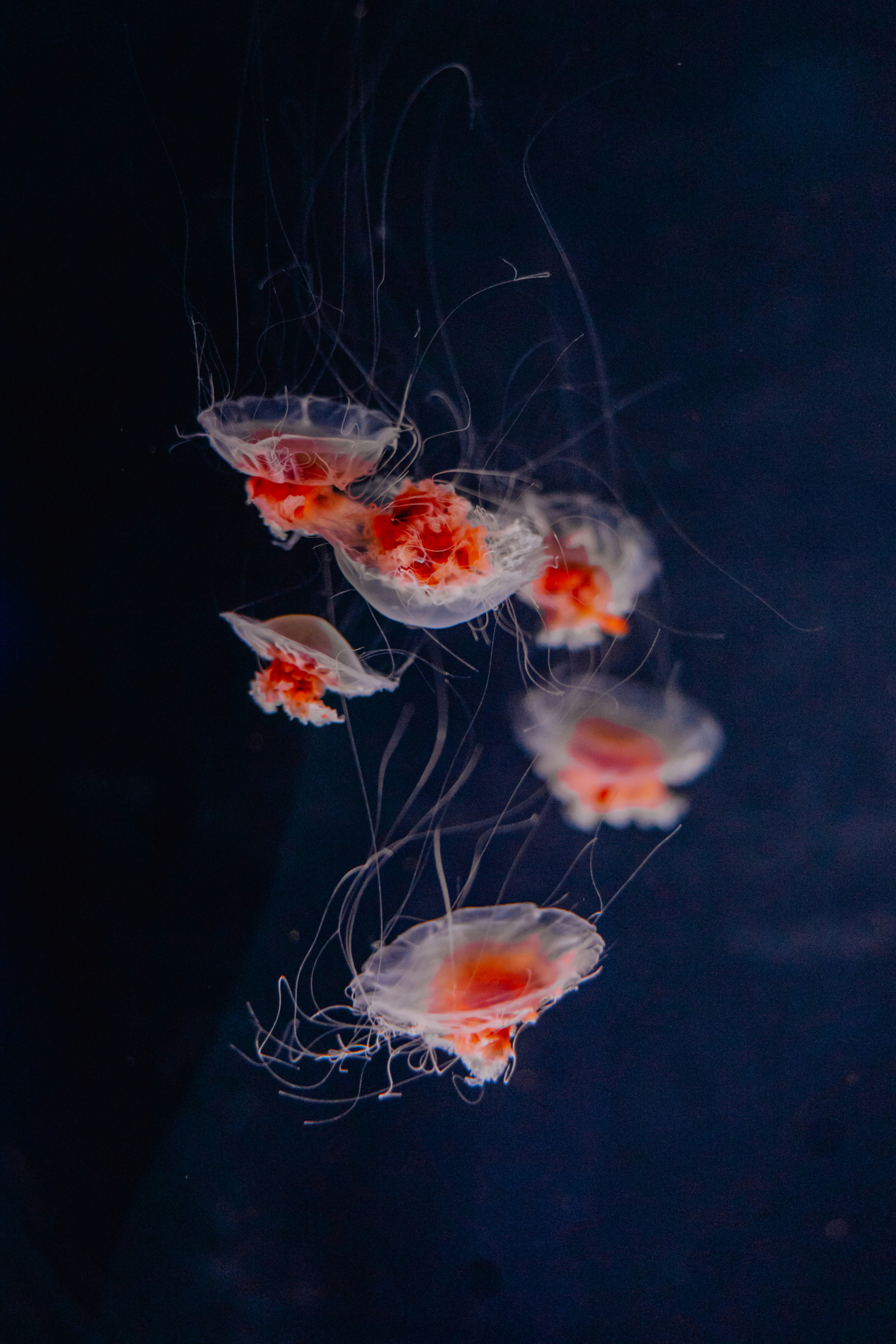 Photo by lukethorntonofficial