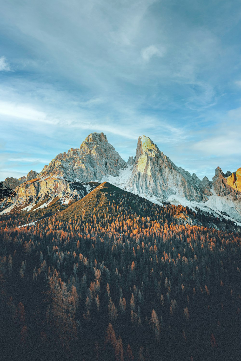 a view of a mountain range with trees in the foreground