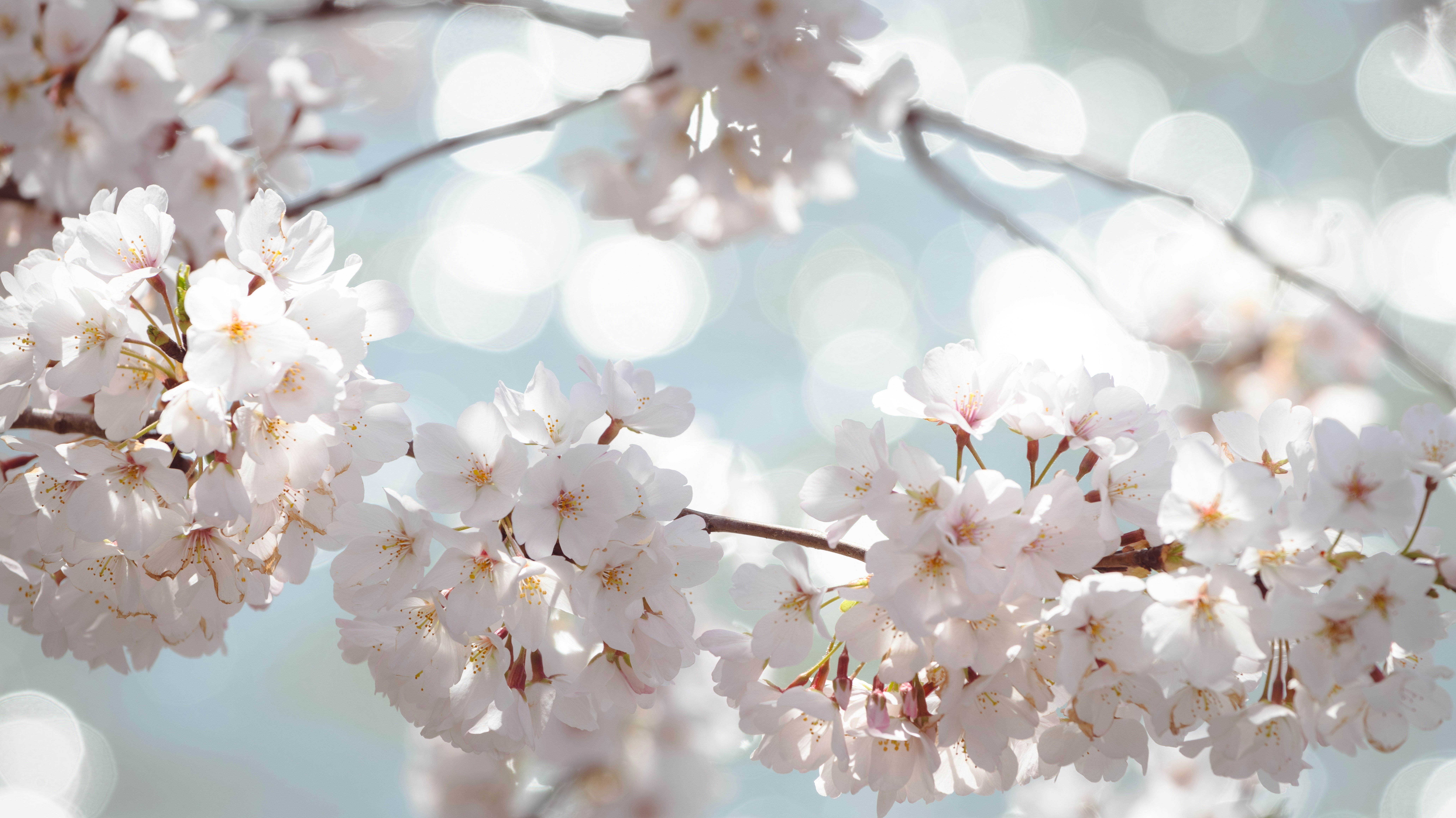 Photo by sriniunsplash