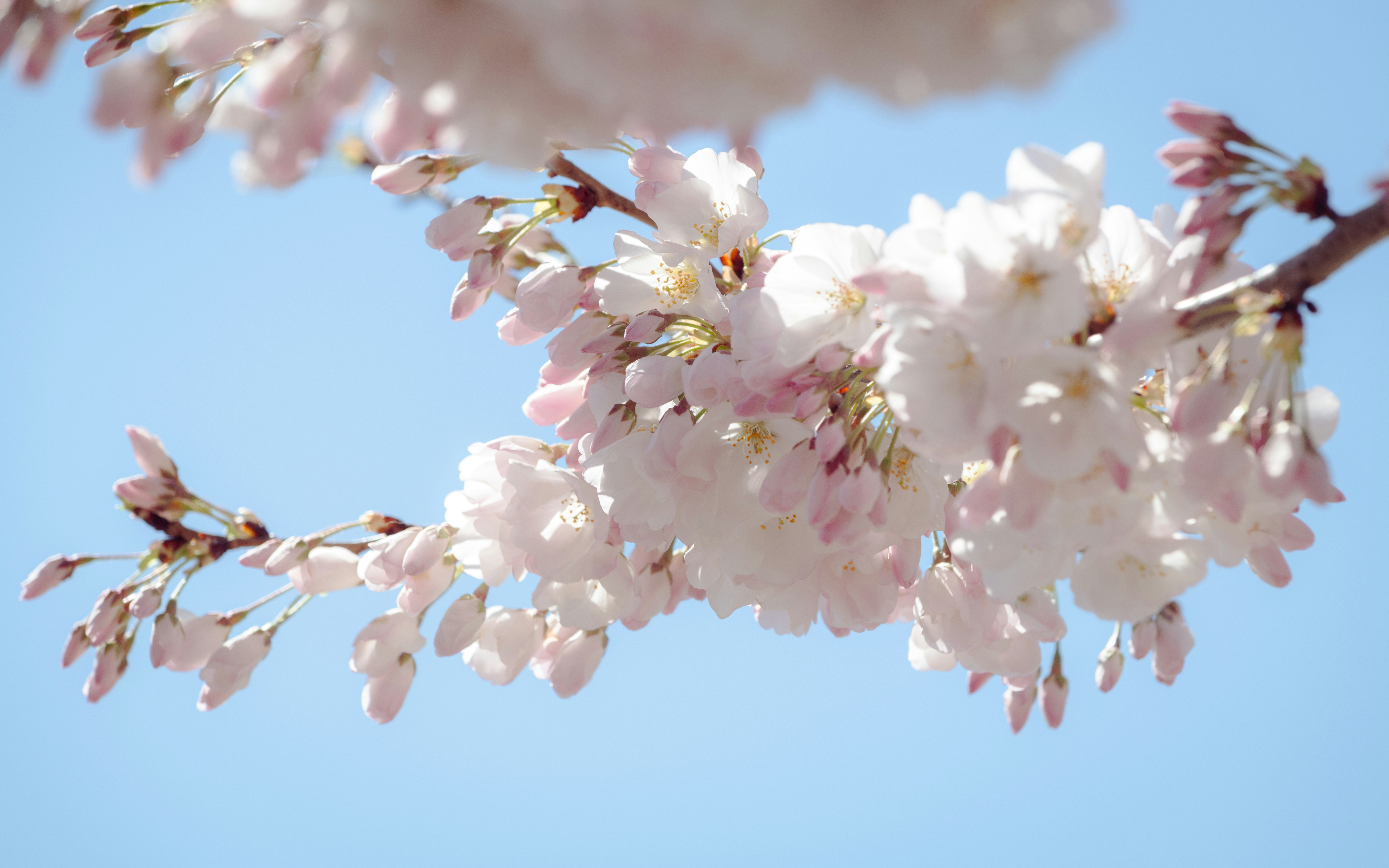 Photo by sriniunsplash