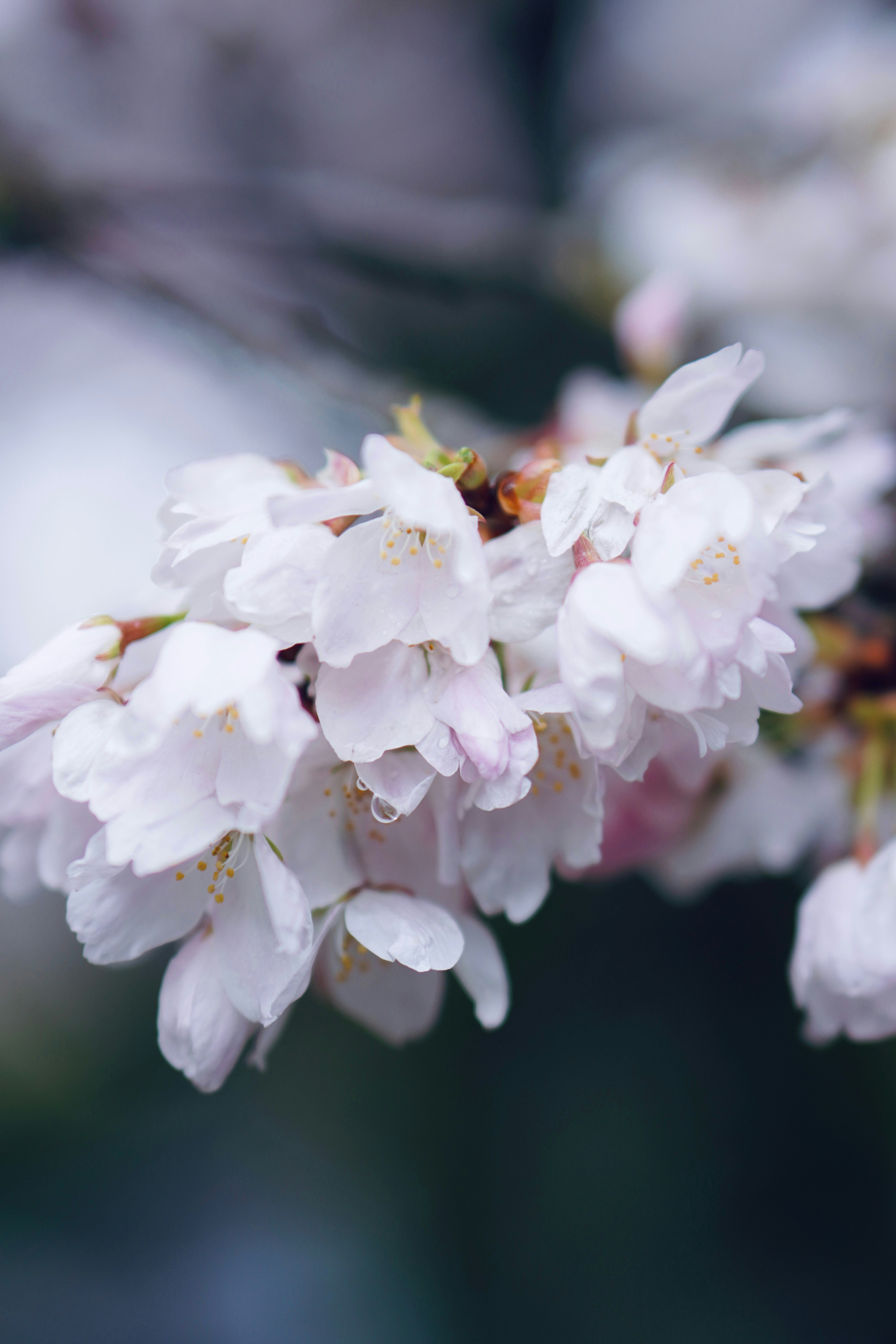 Photo by meinayin