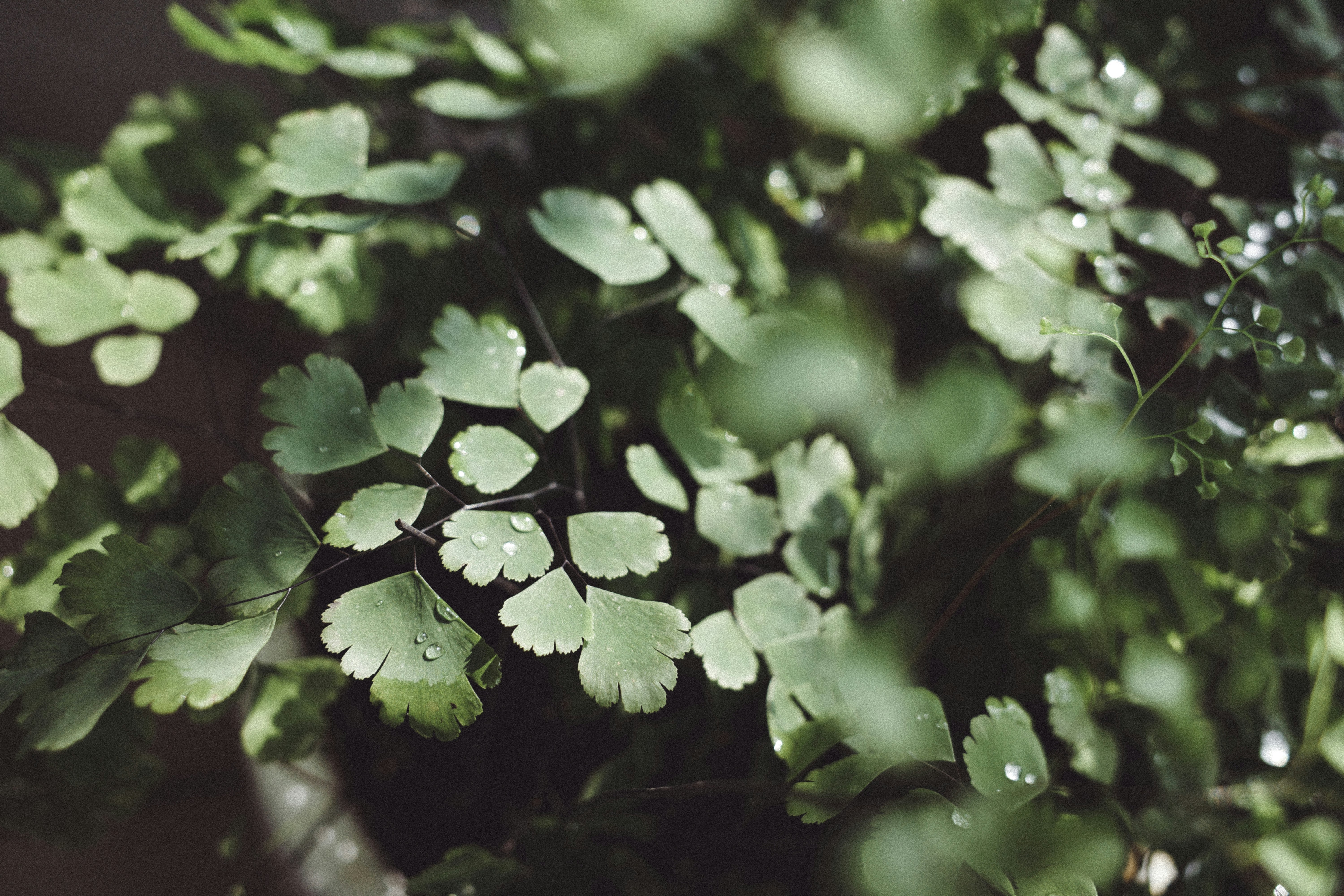 Photo by alexakafreak