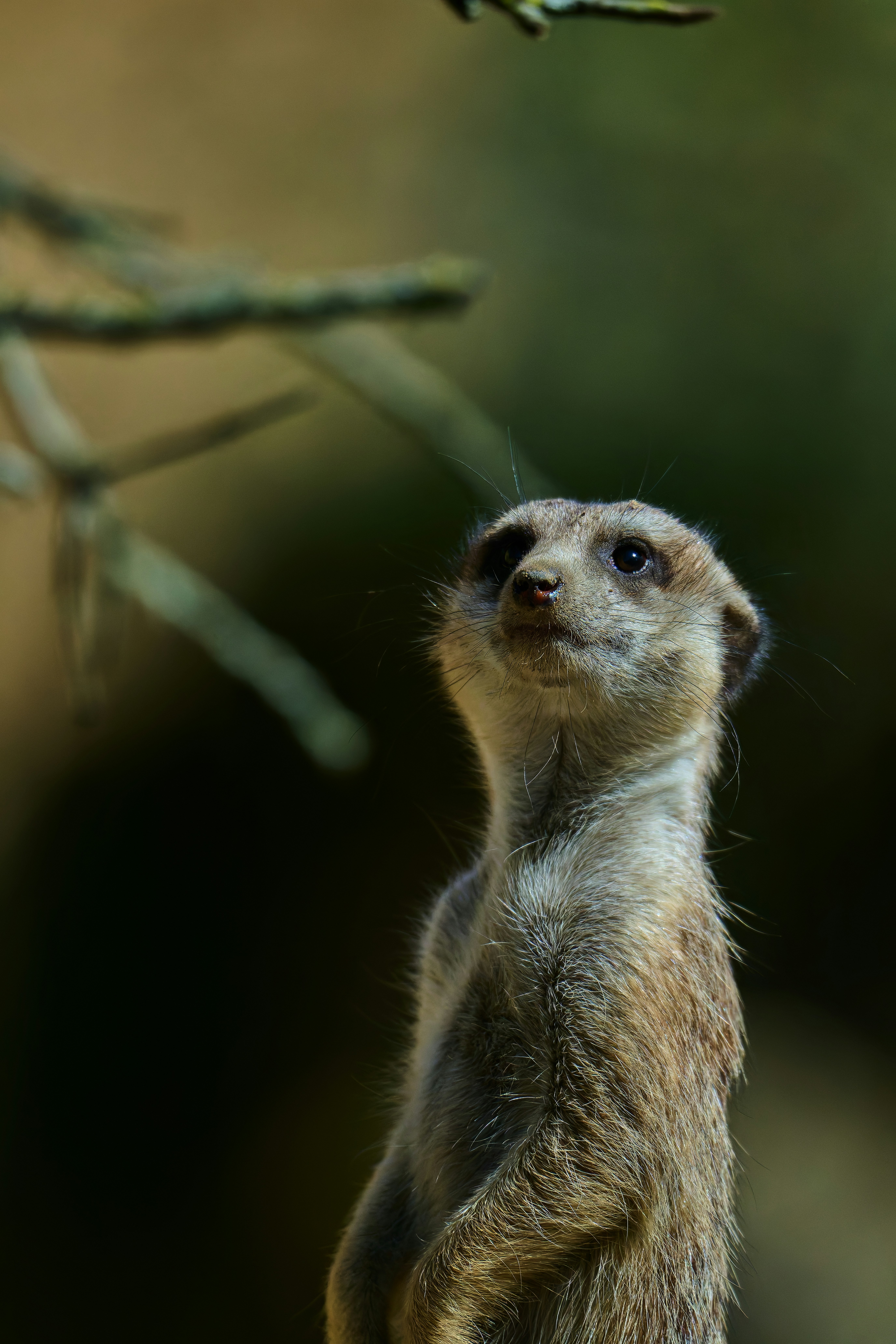 Photo by stefanschwinghammer