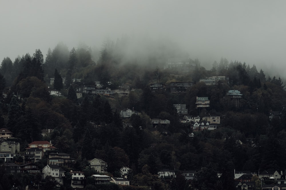 a foggy hillside with houses on it