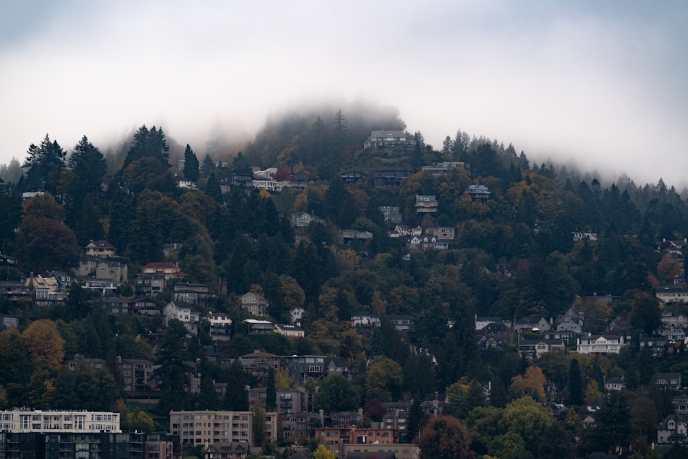 a hill with houses on top of it