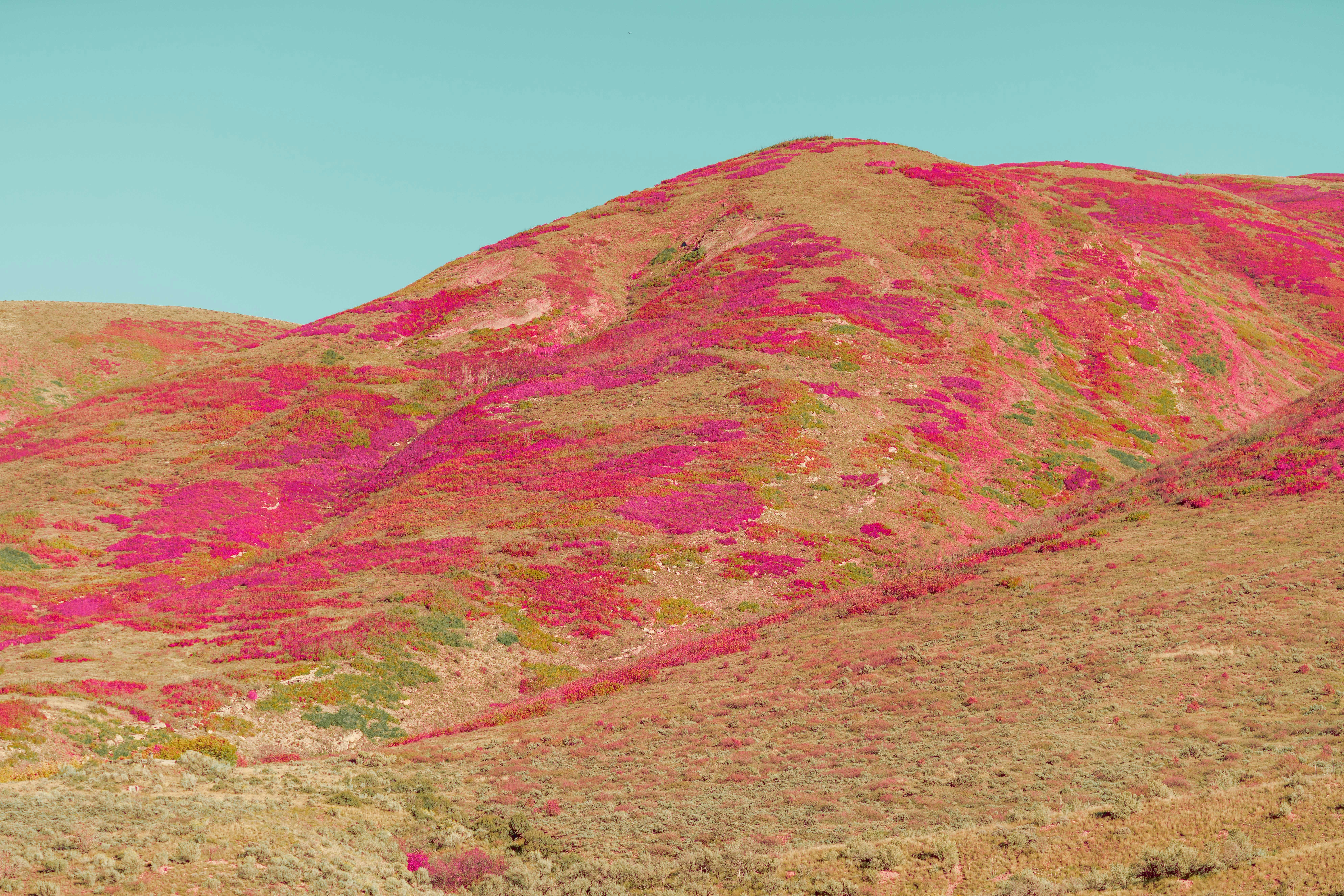 a mountain covered in pink and yellow paint