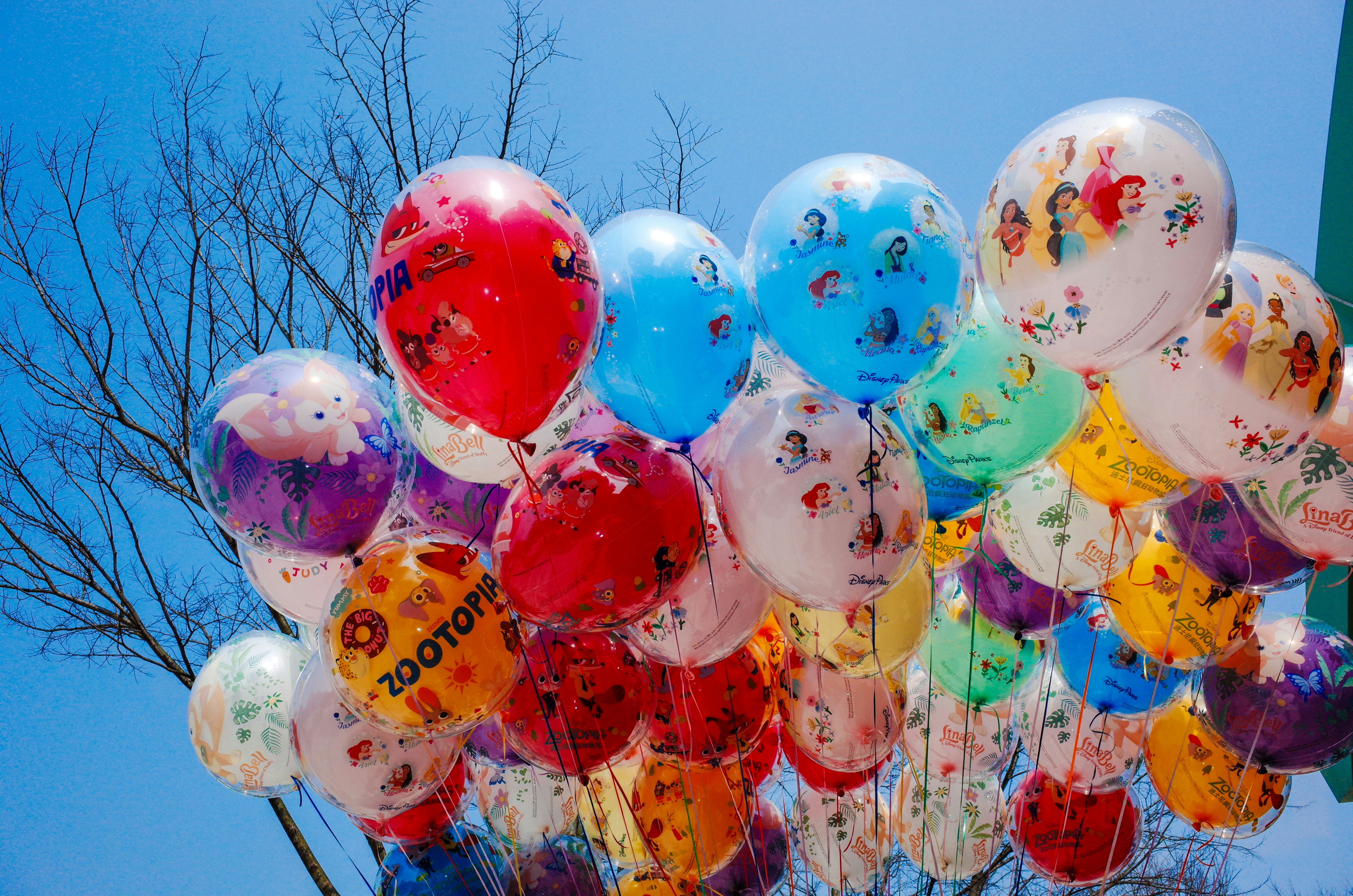 Bertrand Russell Wishes: 15 Heartfelt Quotes to Live By