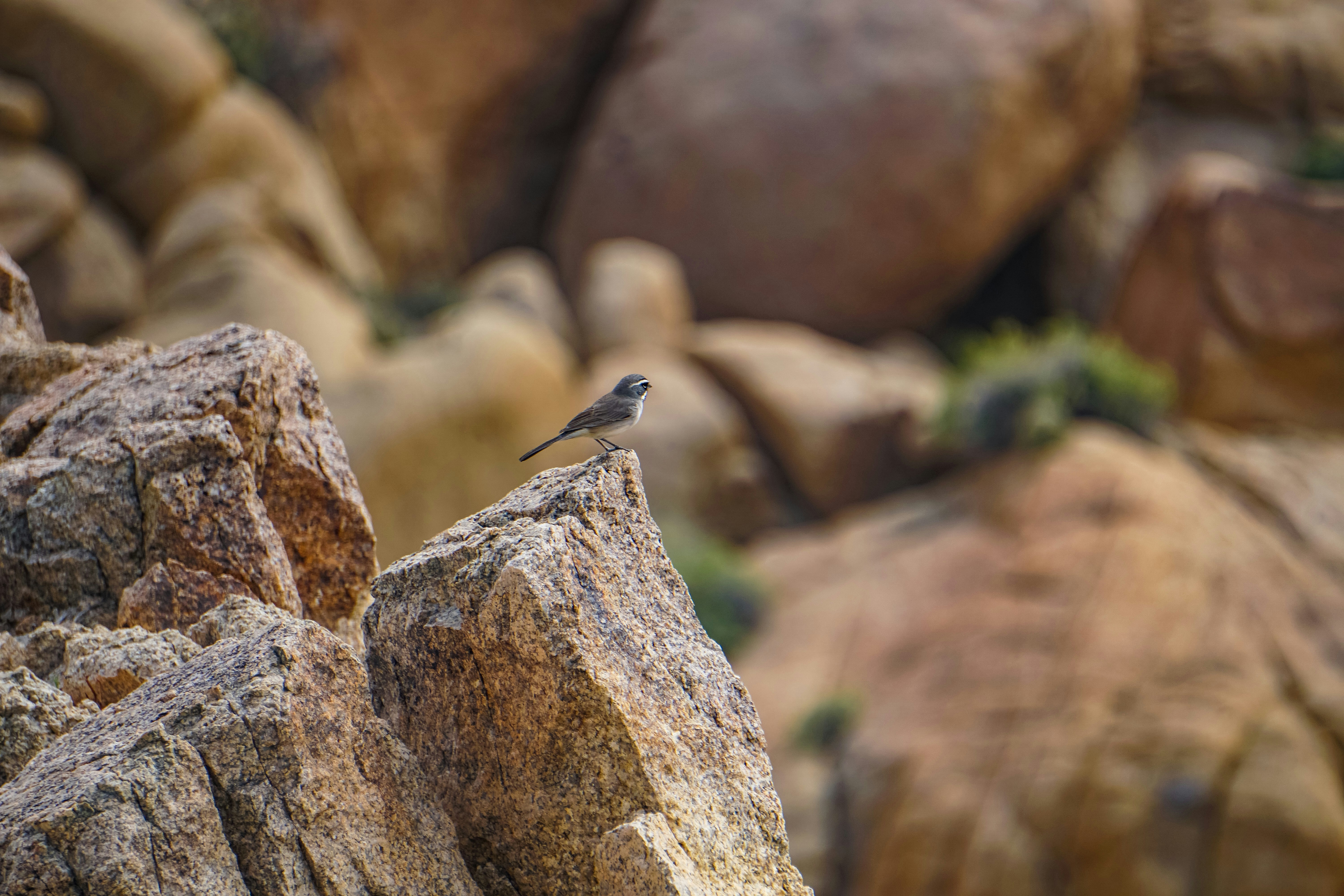 Photo by pmayorphotos