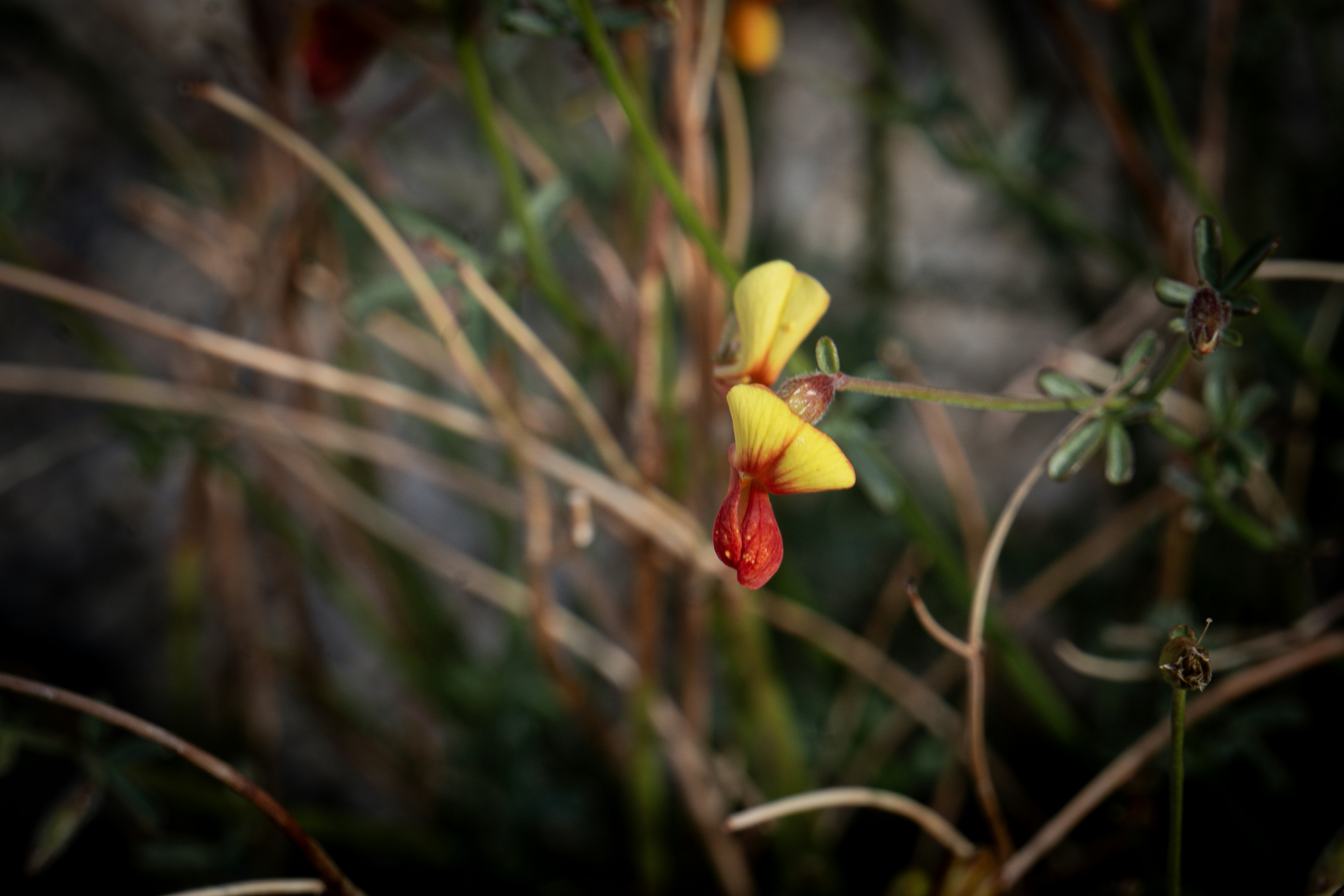 Photo by pmayorphotos