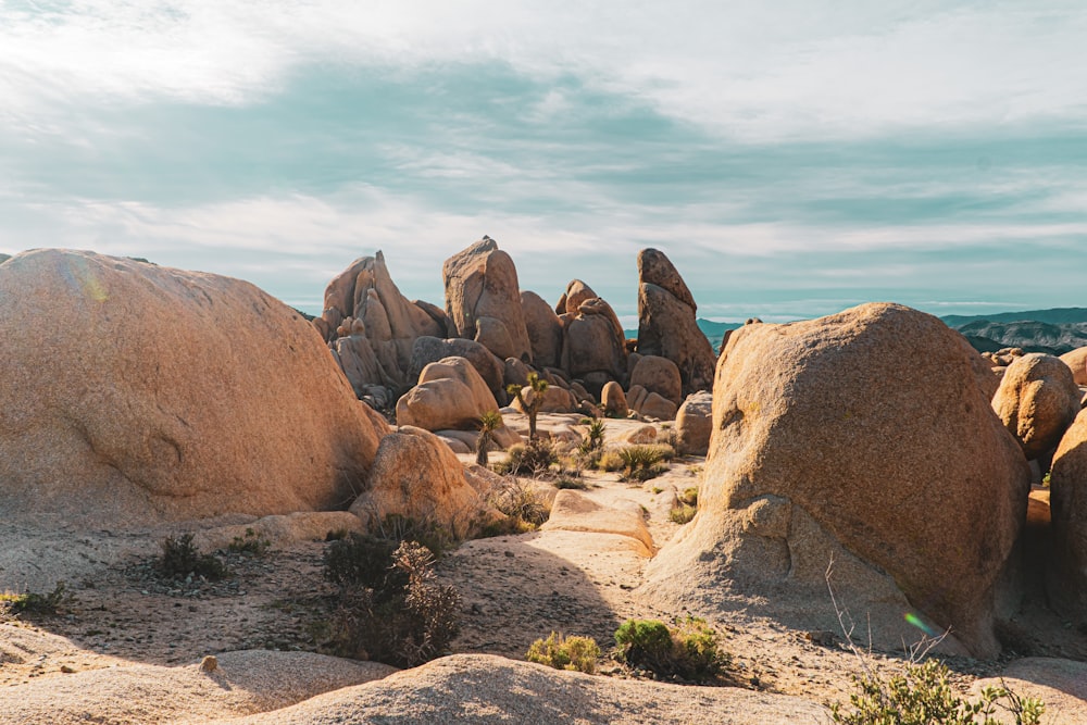 a large group of rocks in the desert