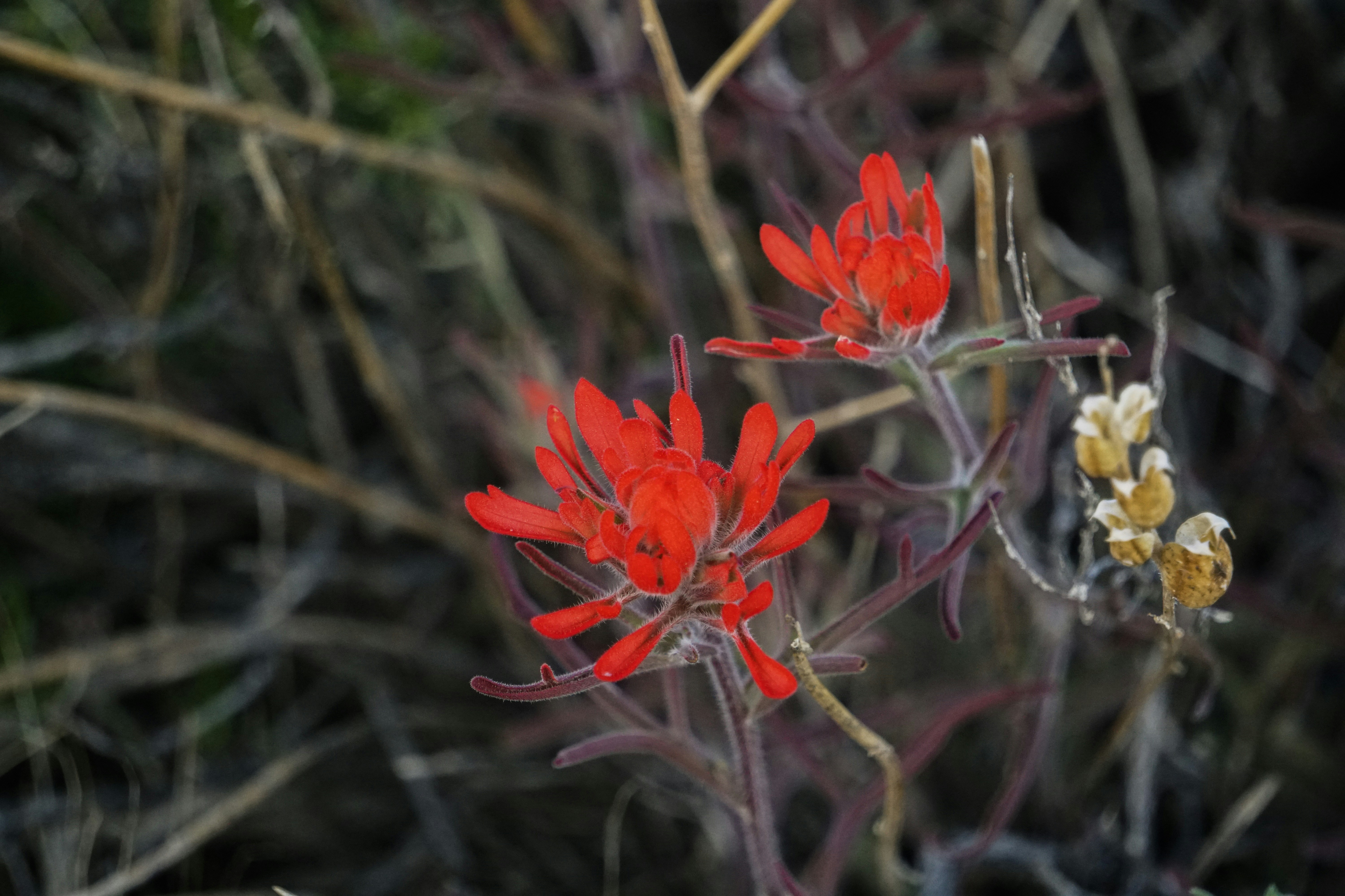 Photo by pmayorphotos