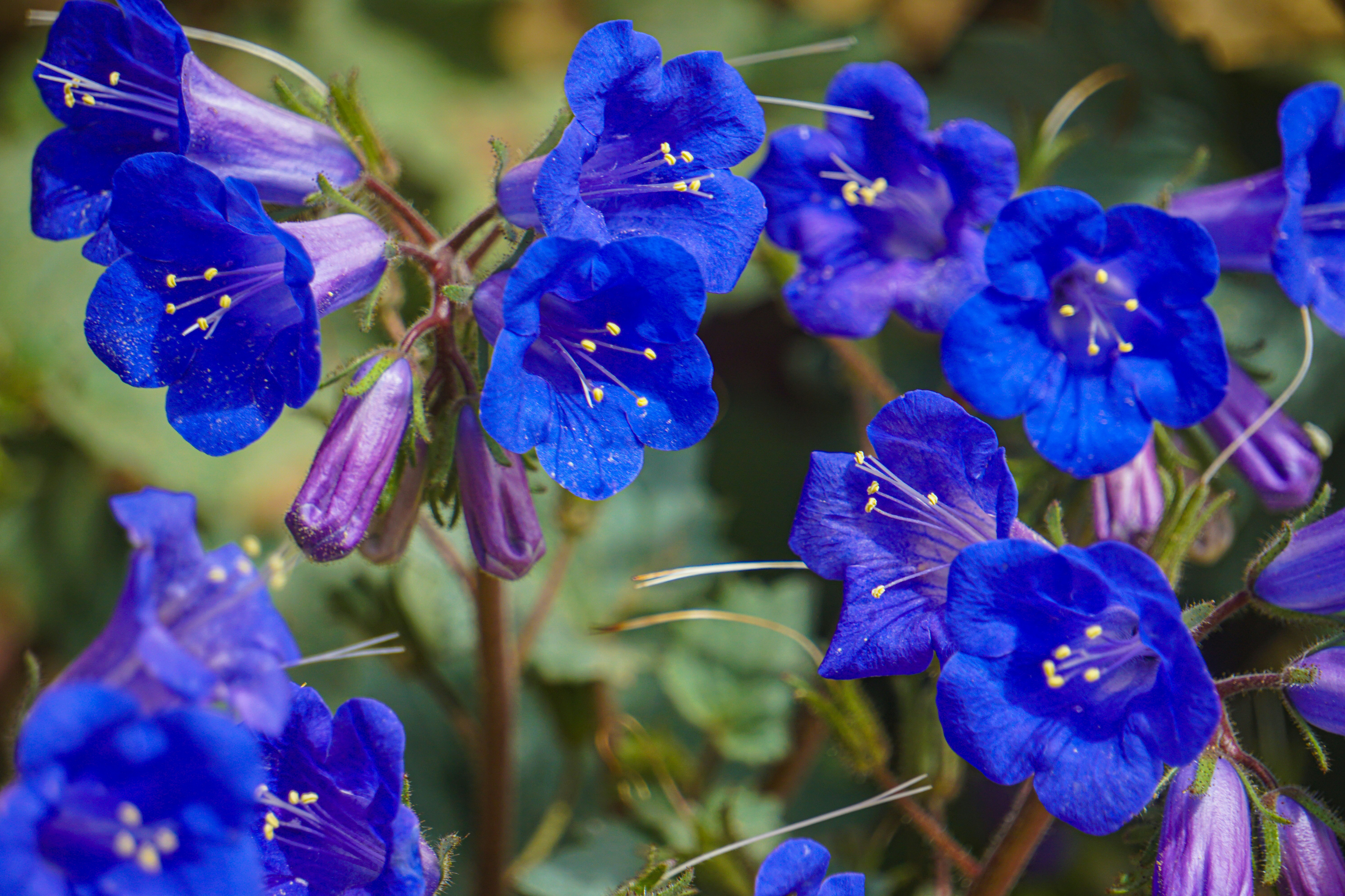 Photo by pmayorphotos