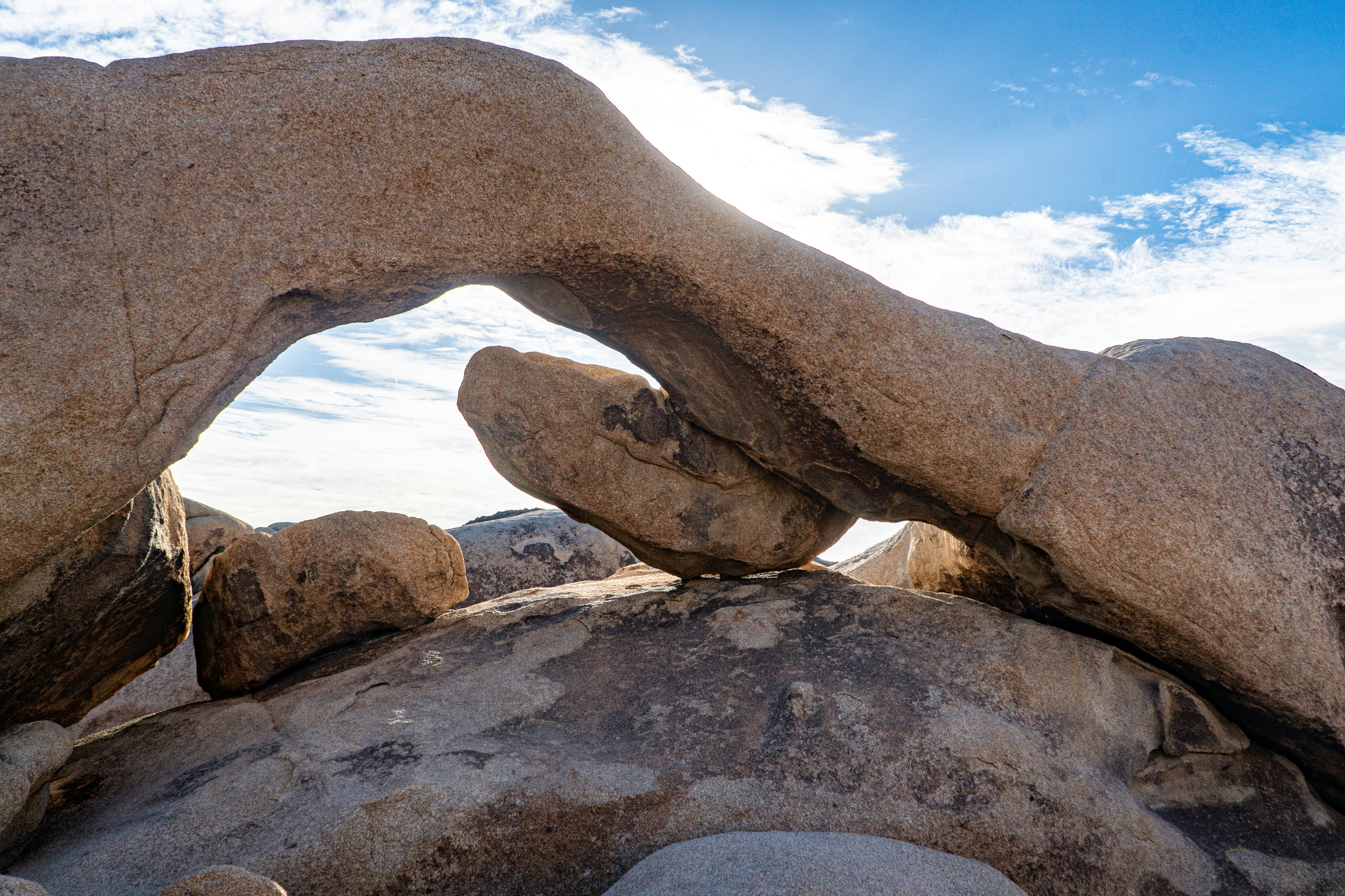 Photo by pmayorphotos