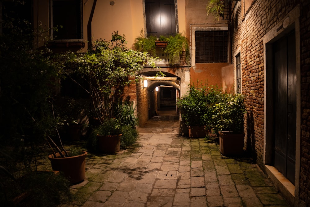 an alley way with potted plants and a lamp