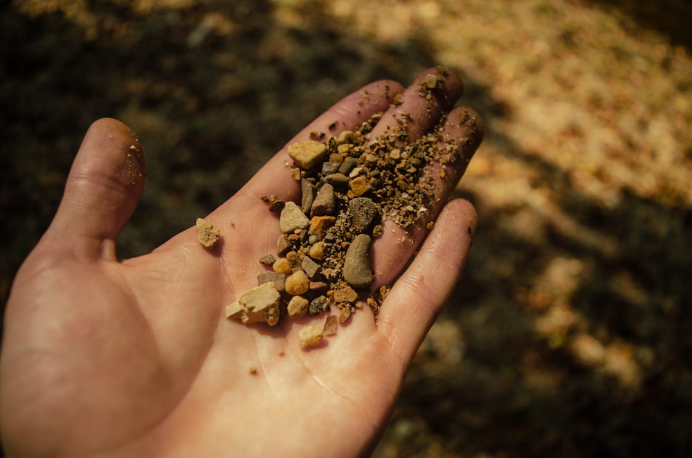 a person holding a handful of dirt in their hand