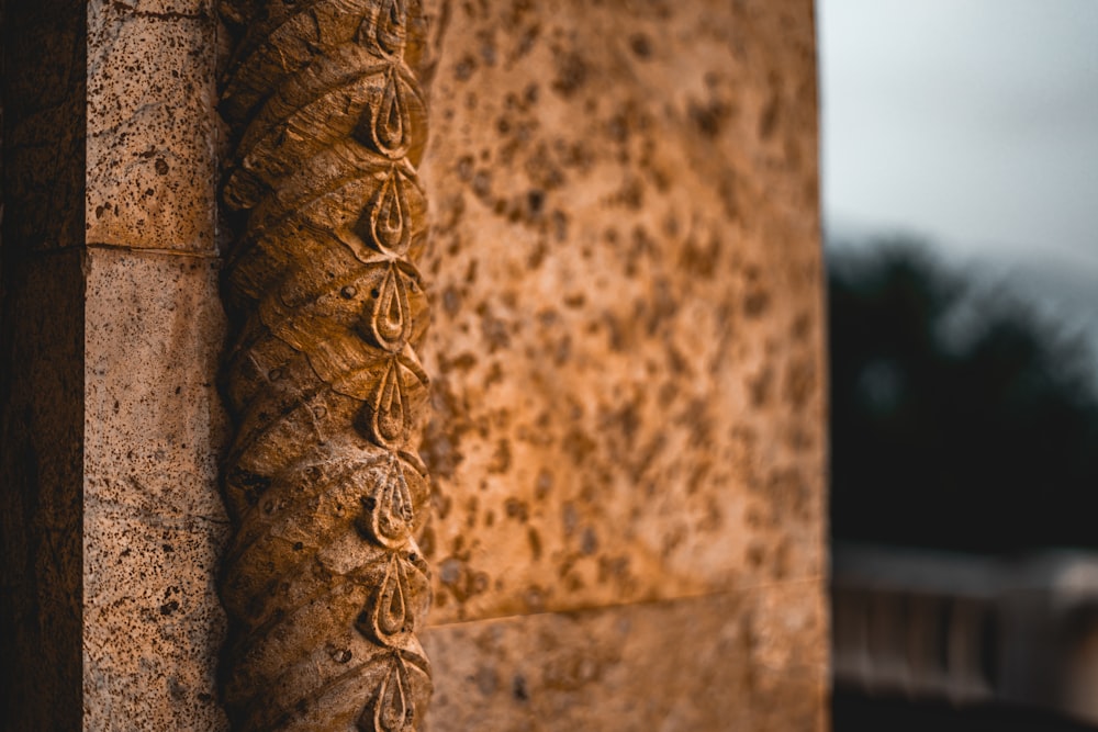 a close up of a stone wall with vines on it