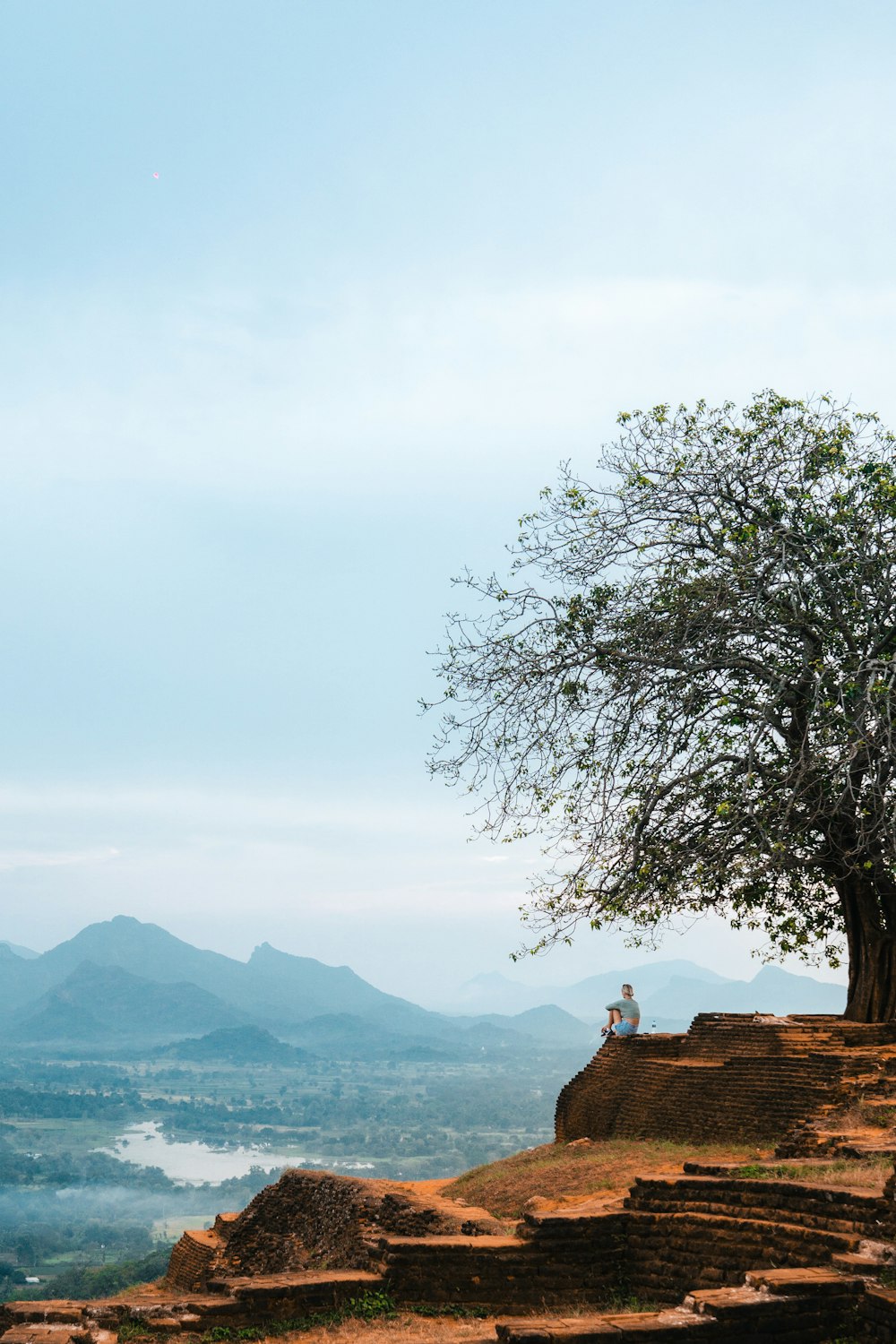 a man sitting on top of a cliff next to a tree