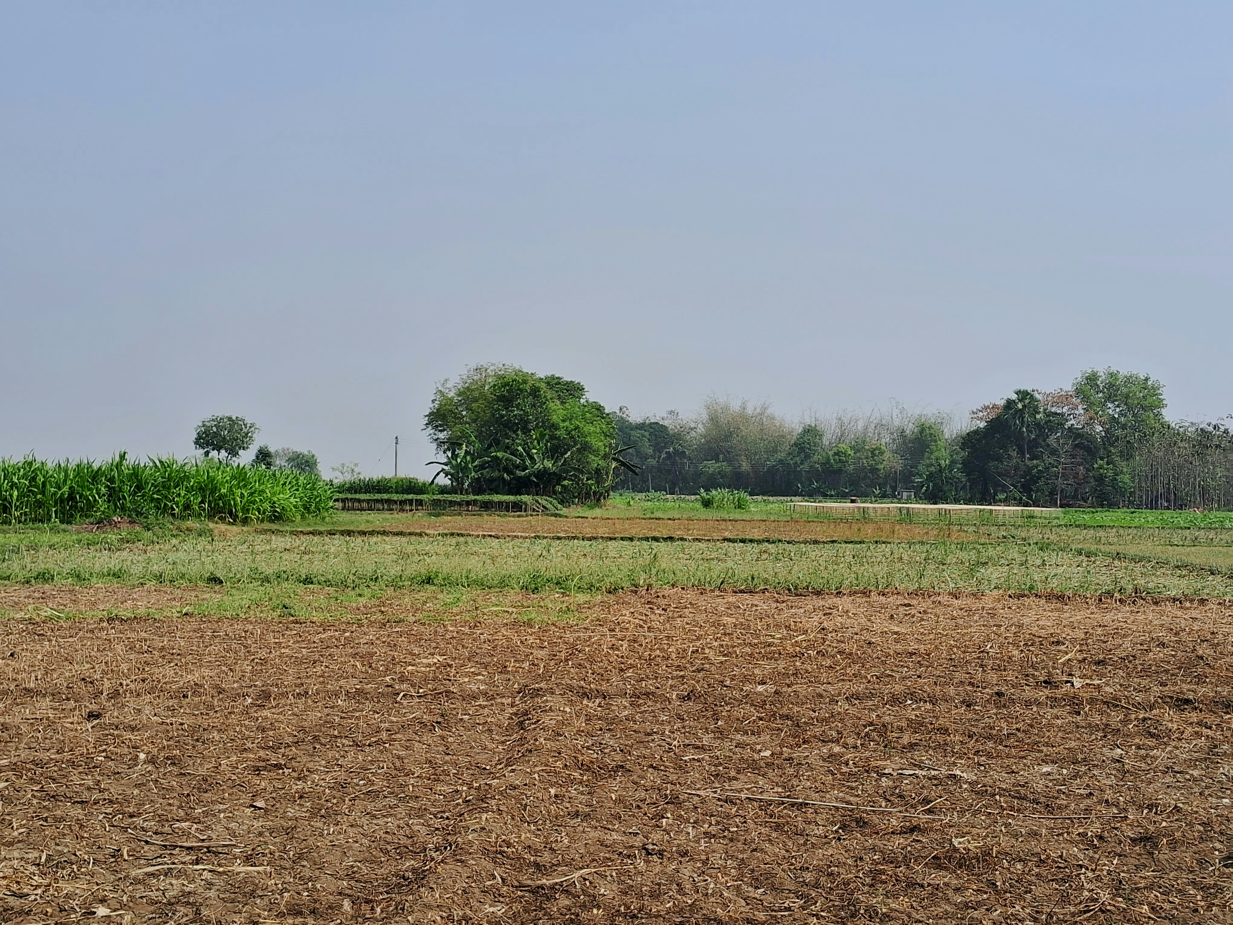 Wide open agricultural land under bright sky, fertile dark soil ready for farming, open horizon