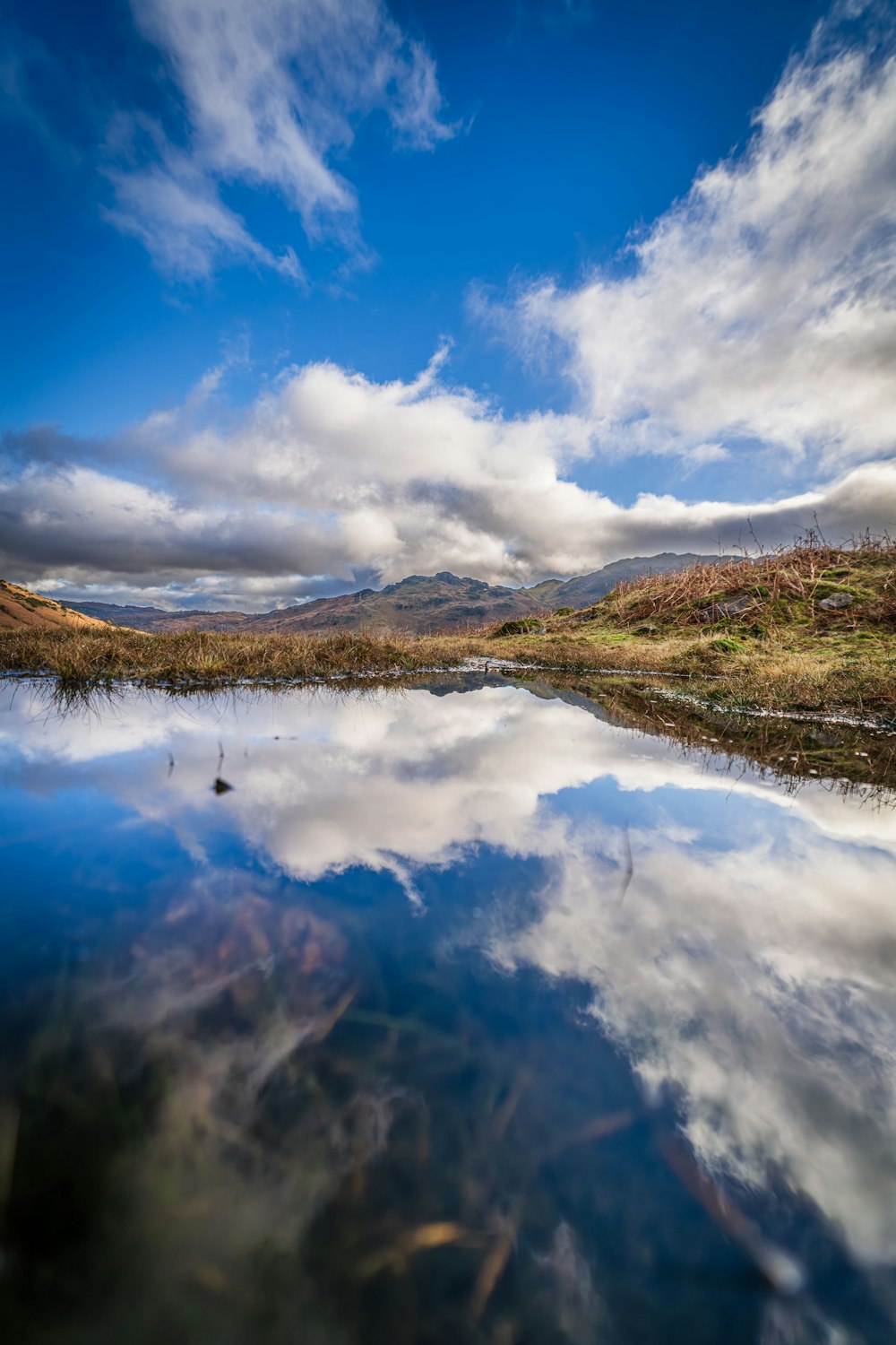 a body of water surrounded by grass and clouds