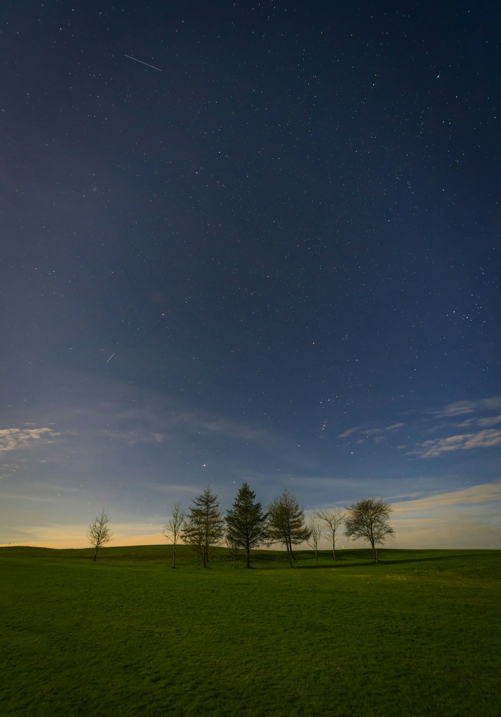 ein grasbewachsenes Feld mit Bäumen unter einem Nachthimmel