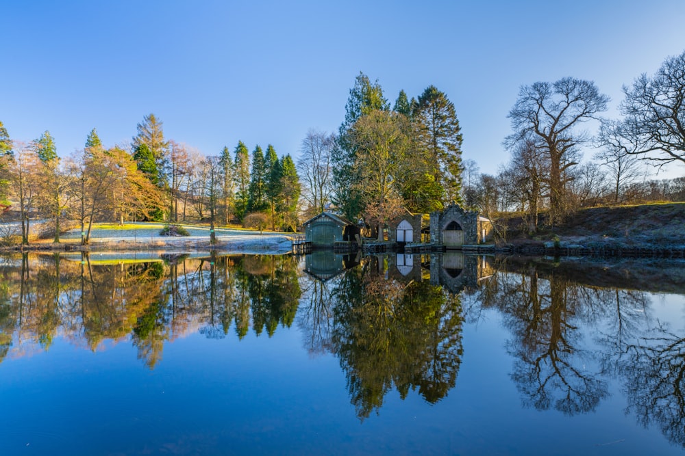 a body of water surrounded by trees and a forest