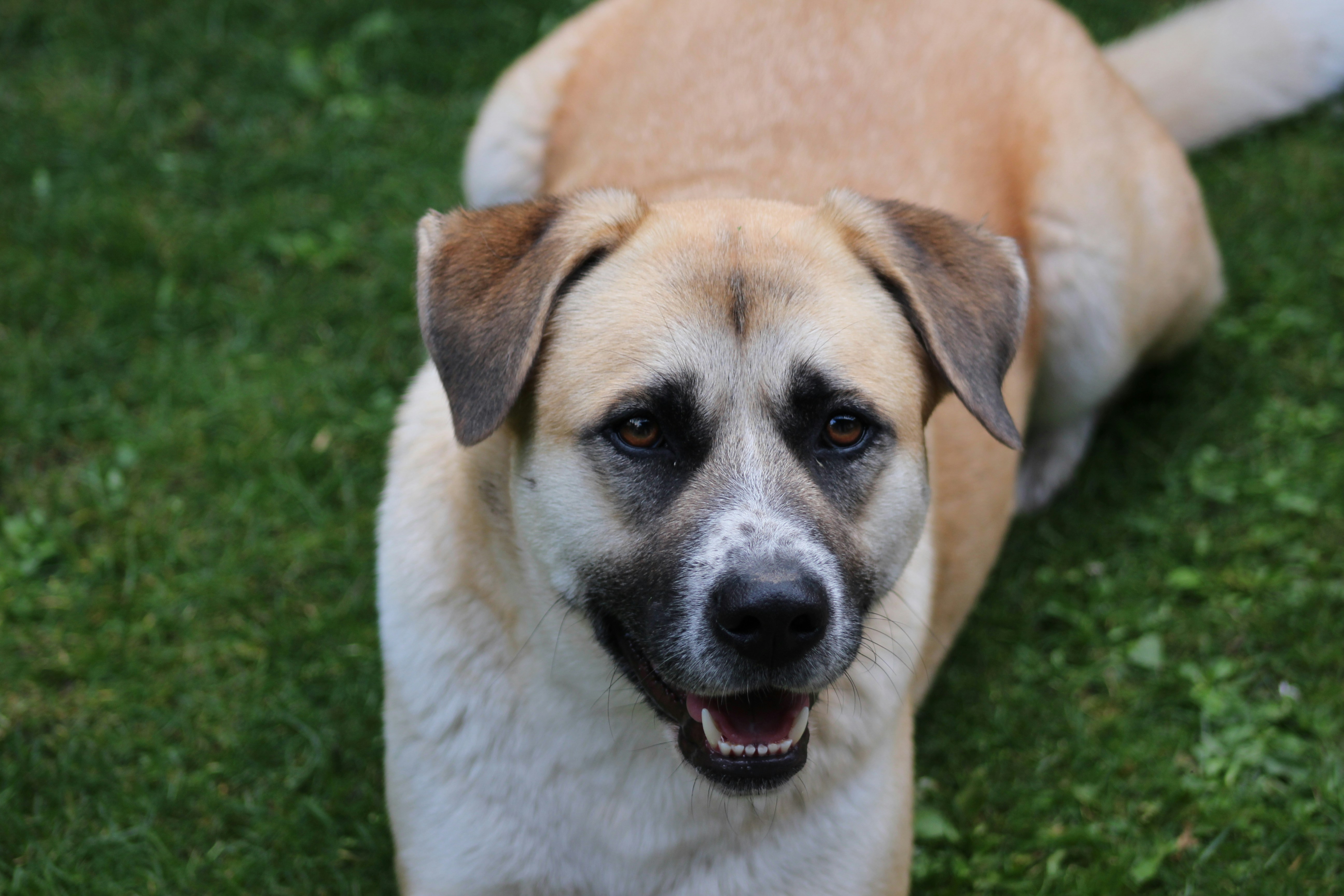 Photo by marjorylucabaxter