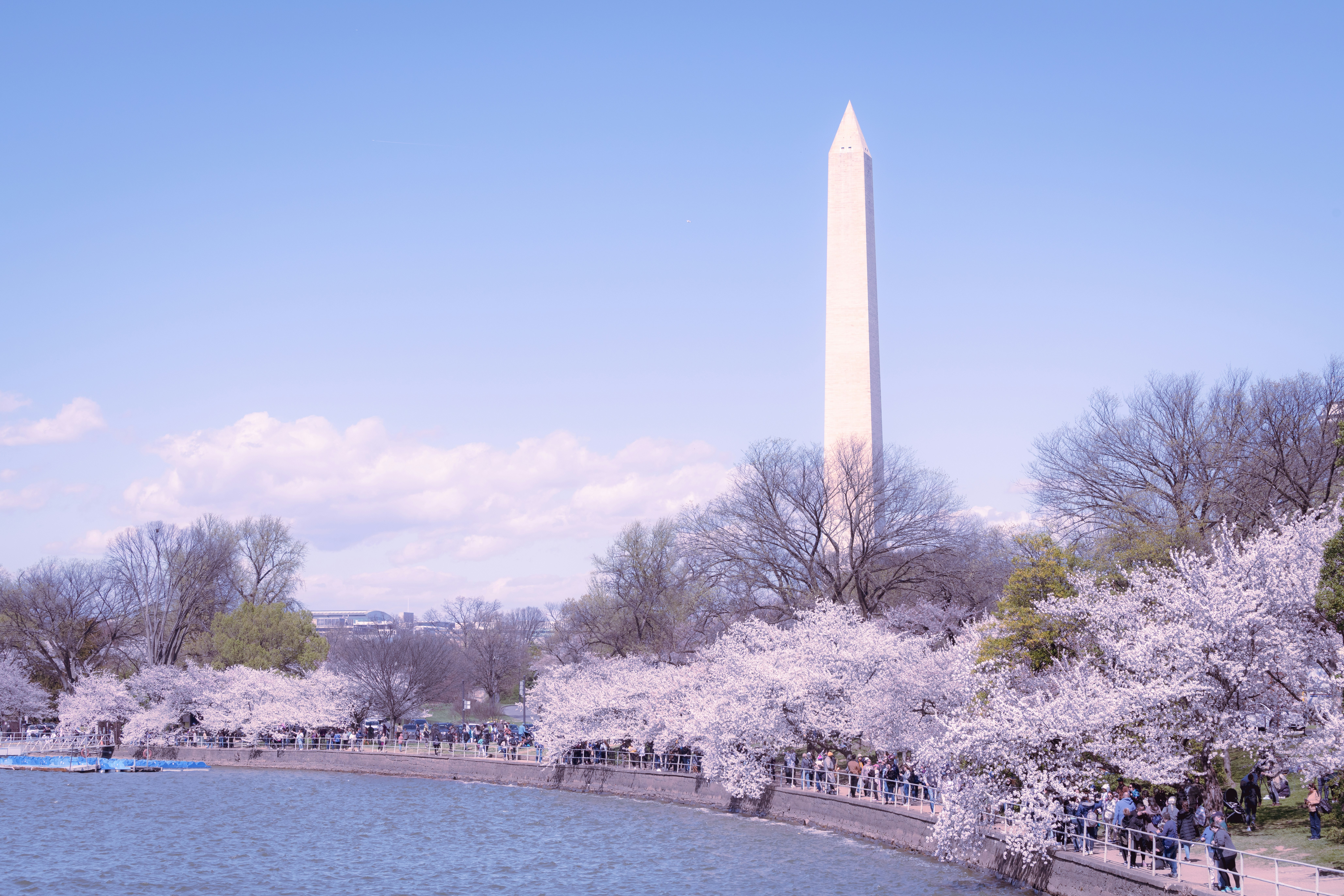 Photo by sriniunsplash