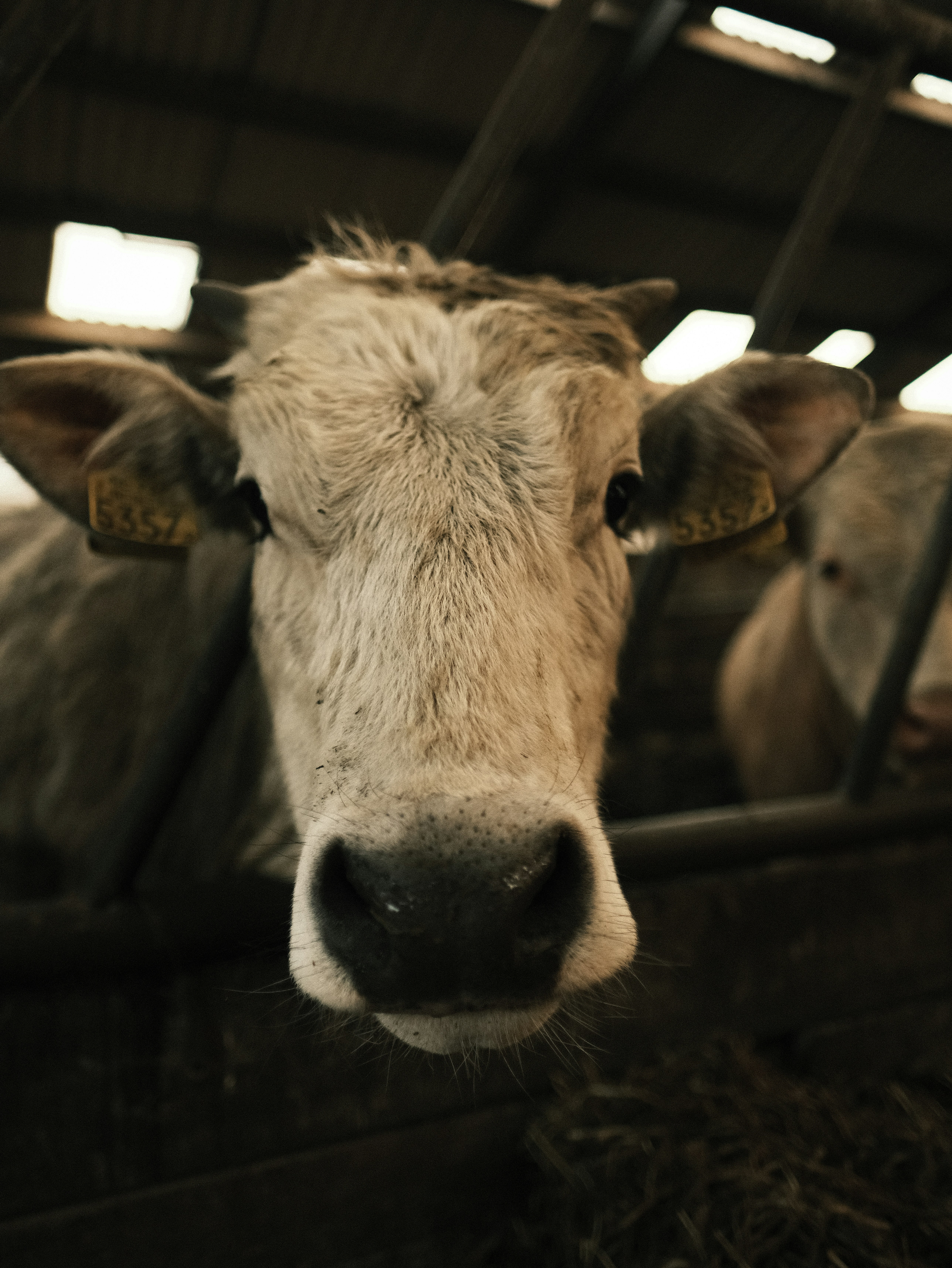 Photo by haberdoedas2