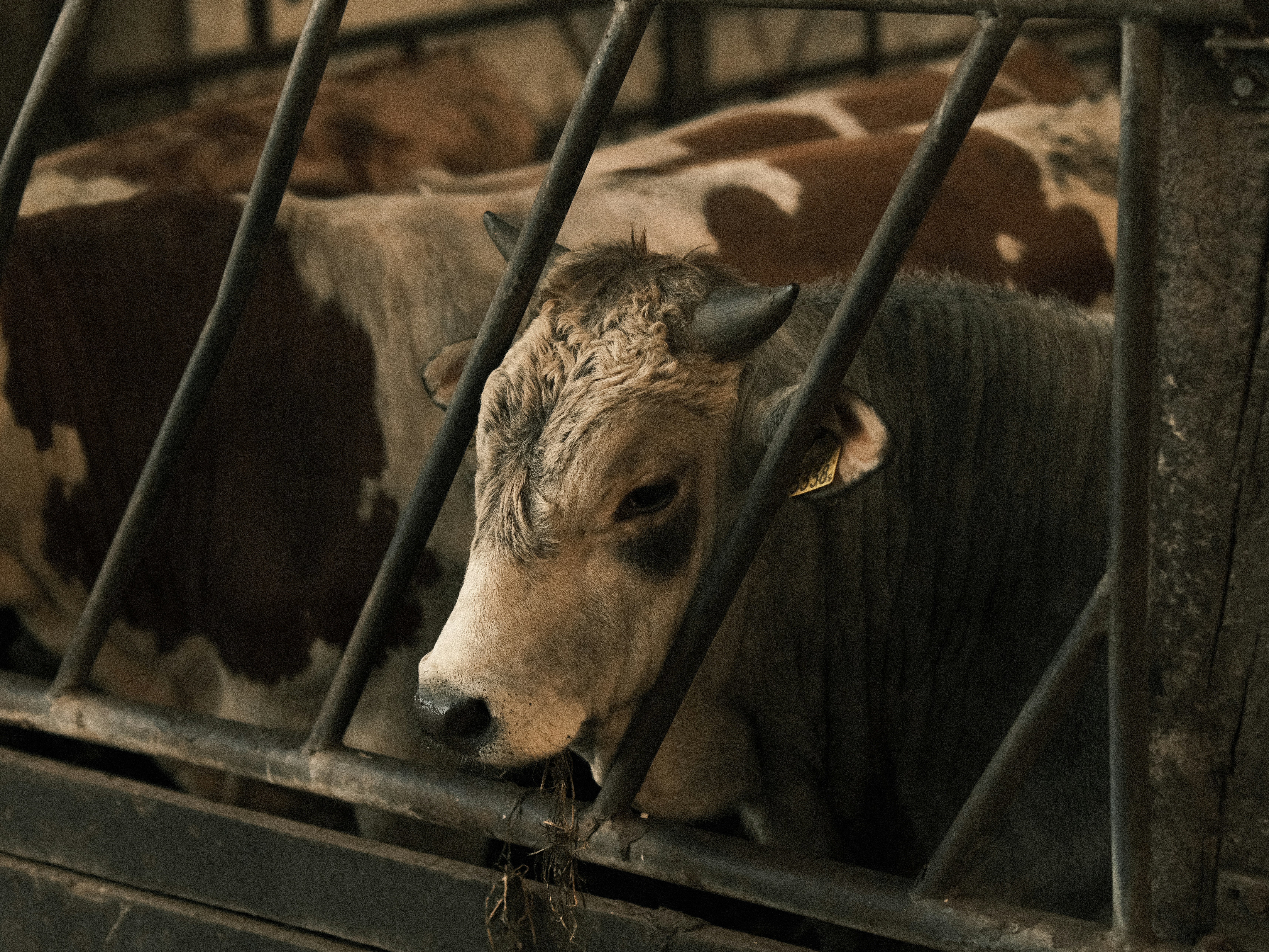 Photo by haberdoedas2