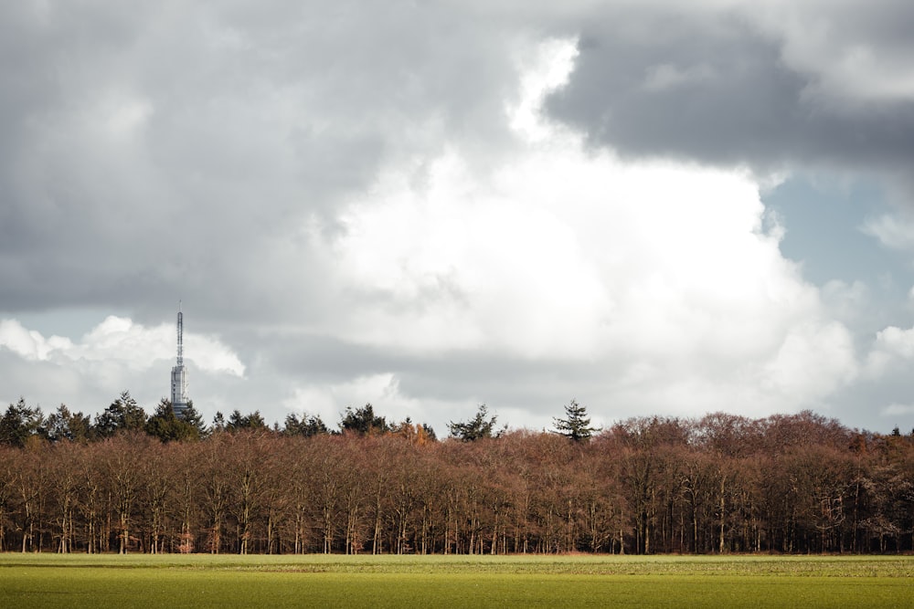 a field with trees and a radio tower in the distance