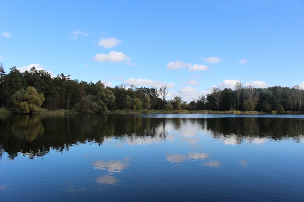 ein Gewässer, umgeben von Bäumen und Wolken