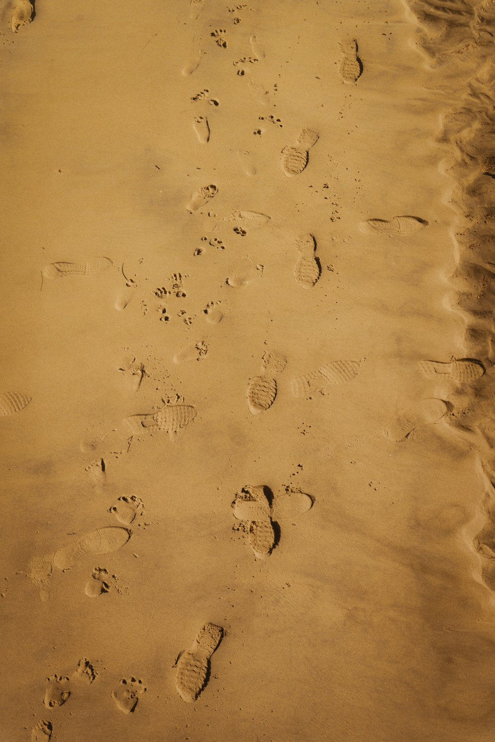 footprints in the sand of a beach