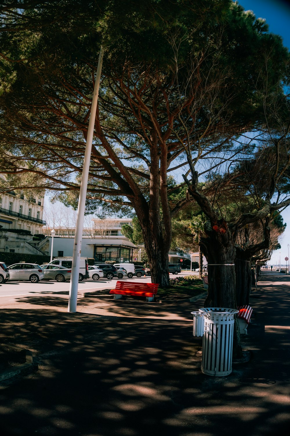 a trash can sitting on the side of a road next to a tree