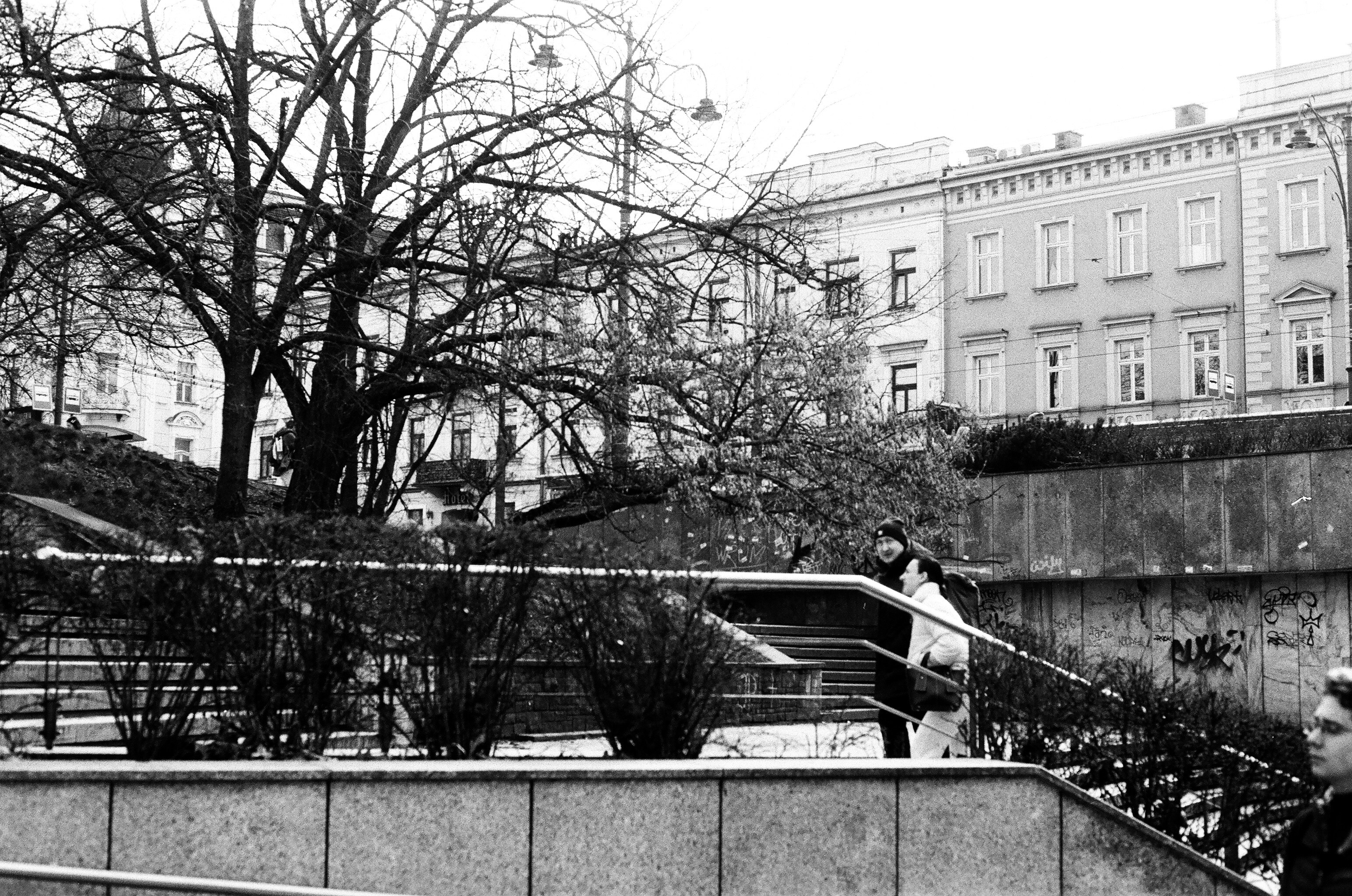 Photo by thesilvafocus