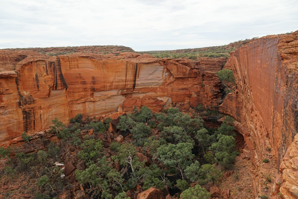 a view of a rocky cliff with trees growing out of it