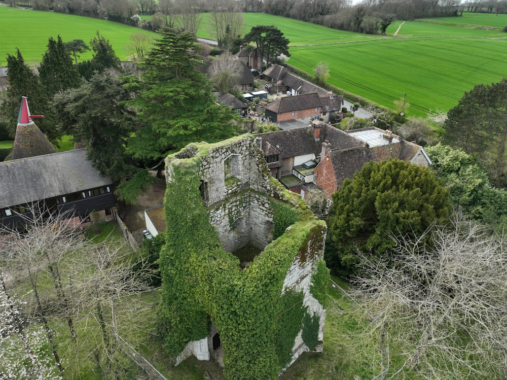 an aerial view of a house covered in vines