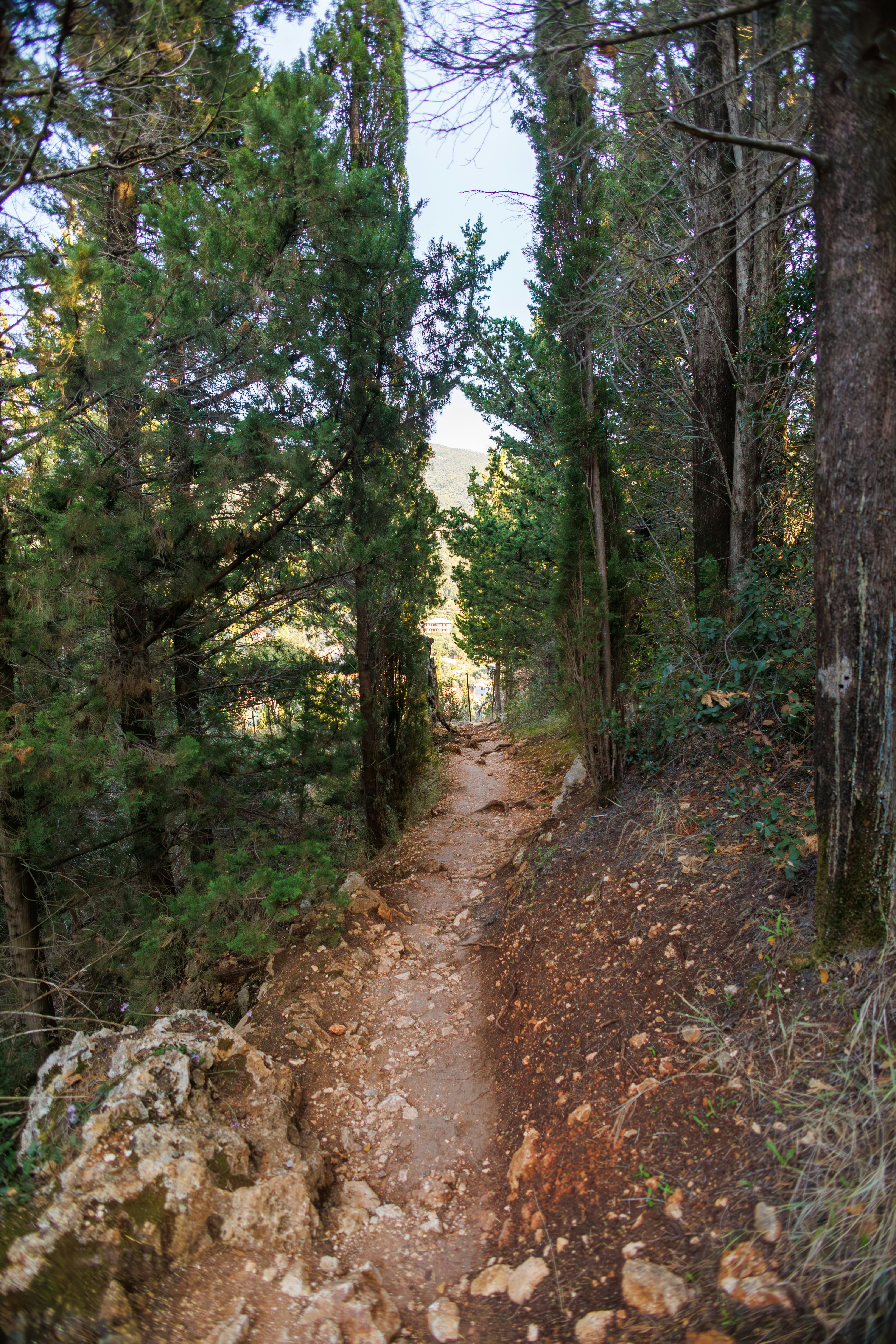 Photo by stockbirken