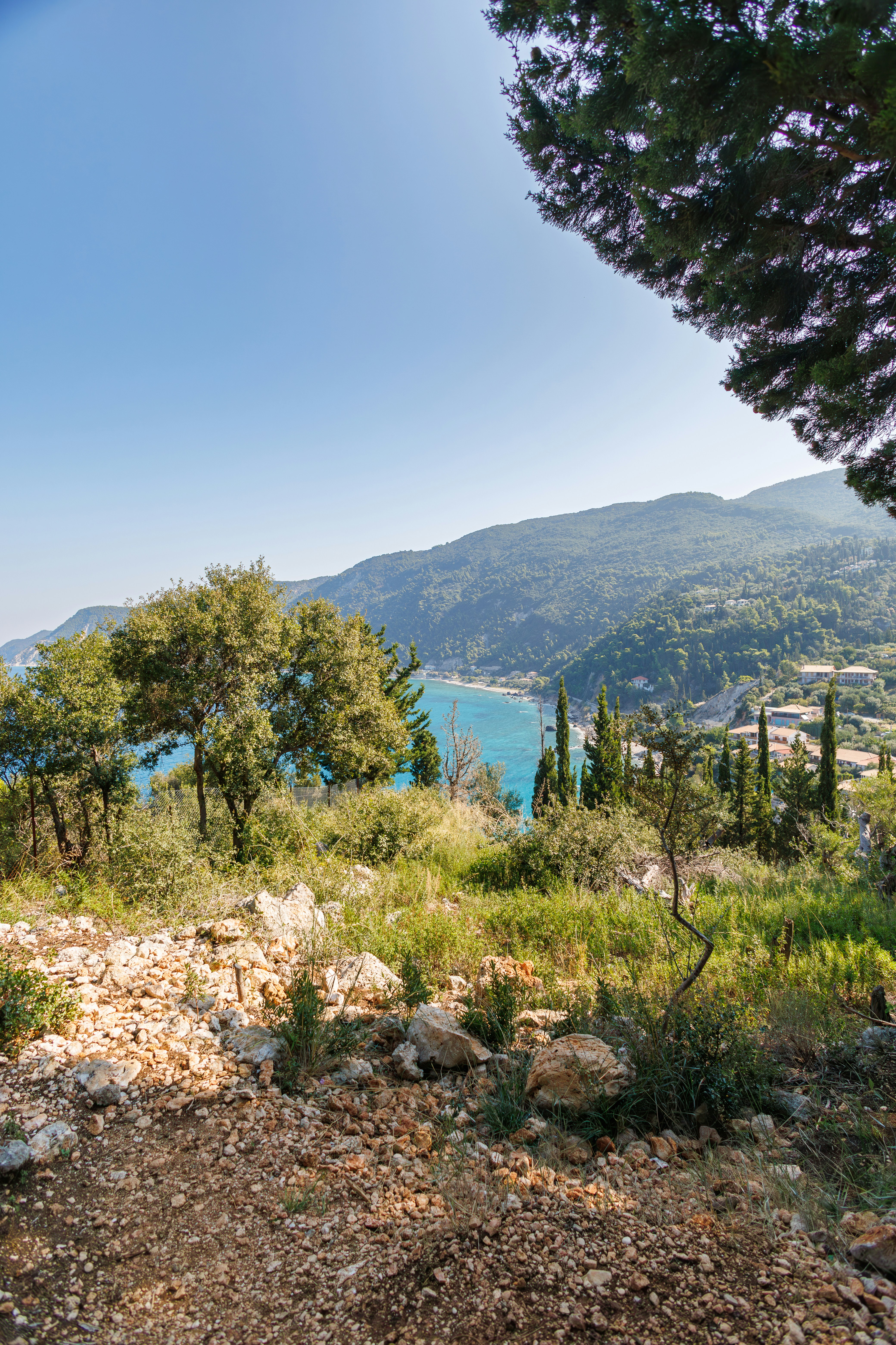 Photo by stockbirken