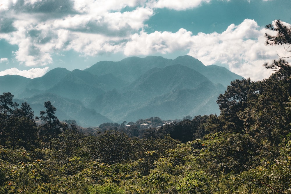 a view of a mountain range from a distance